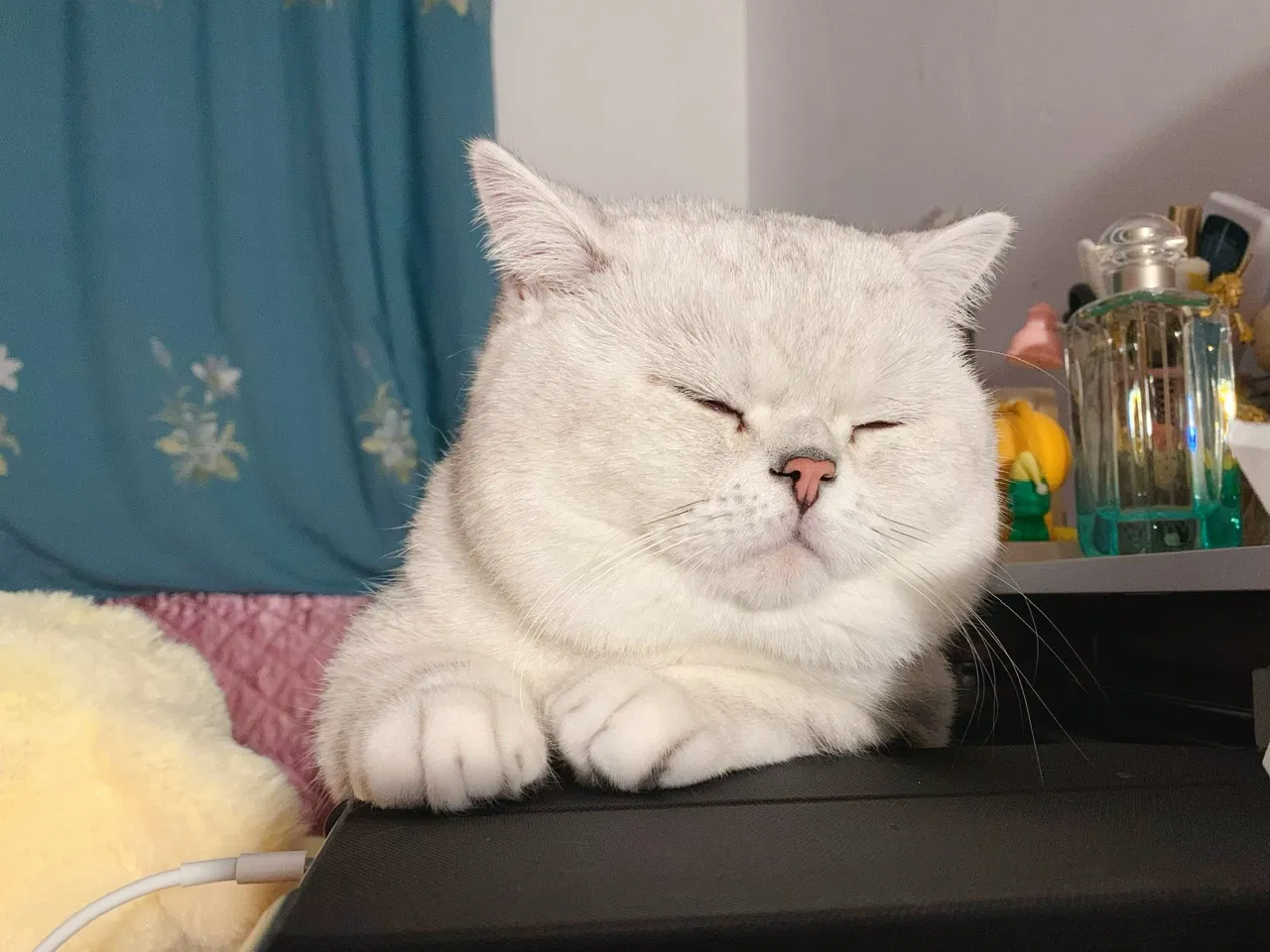 2VeIDY0gfDFSeRIT_IMG_0644.png