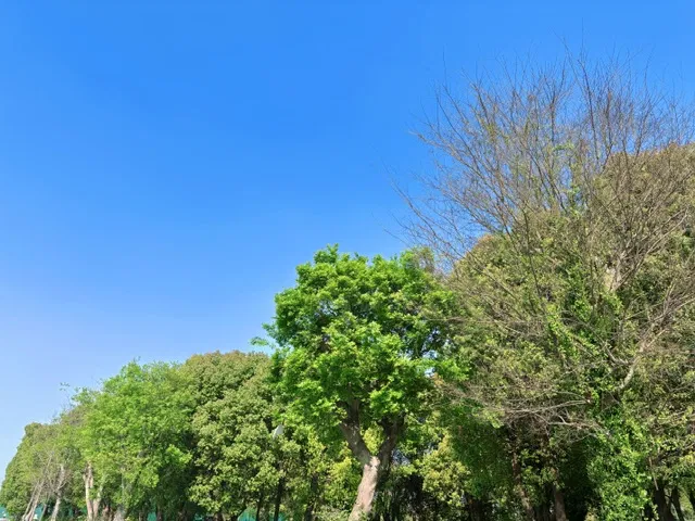 M6L7OBzaUigO1FUc_IMG_6817.png