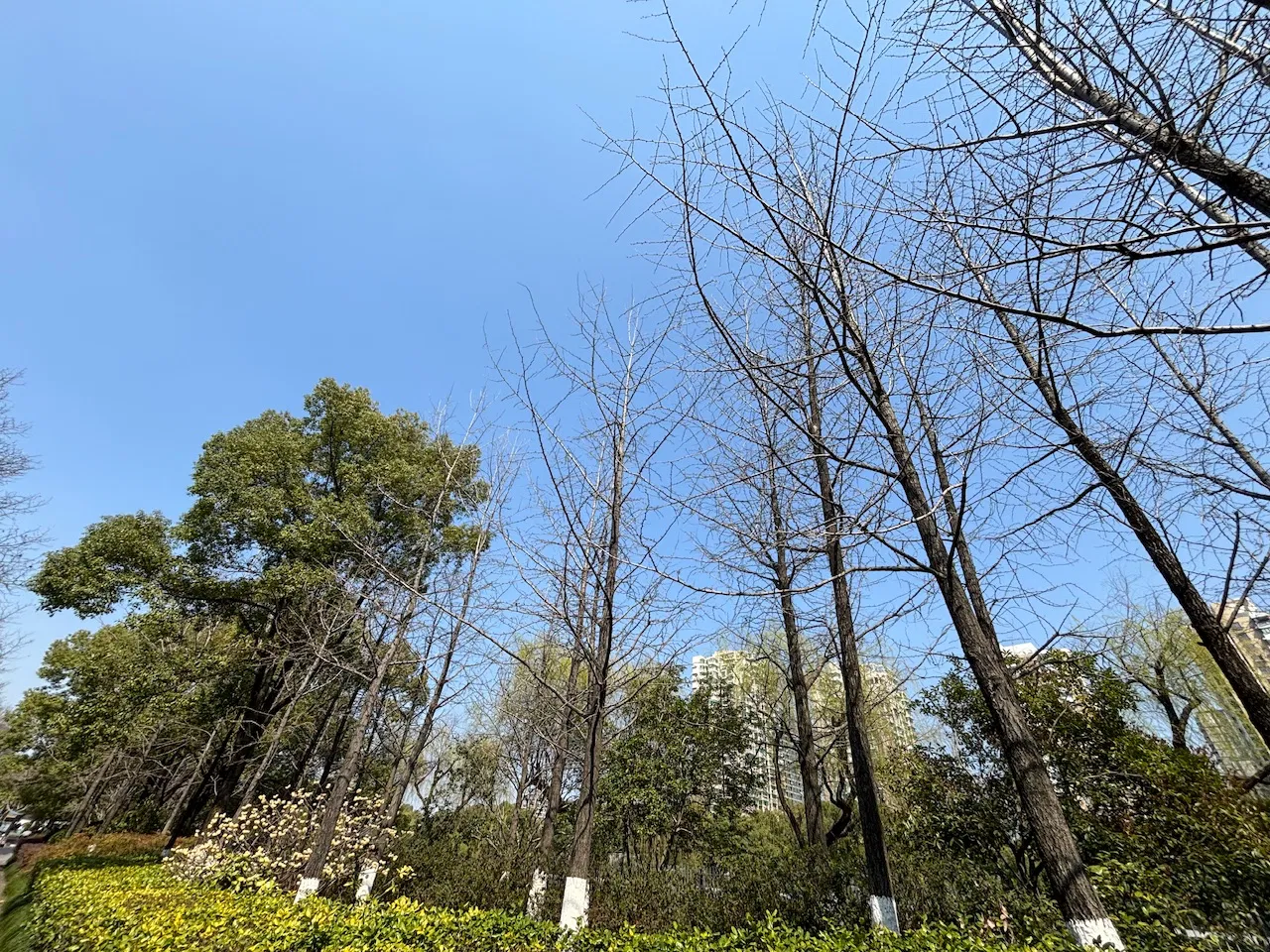 qnhjizEB6lHDniPm_IMG_6366.png