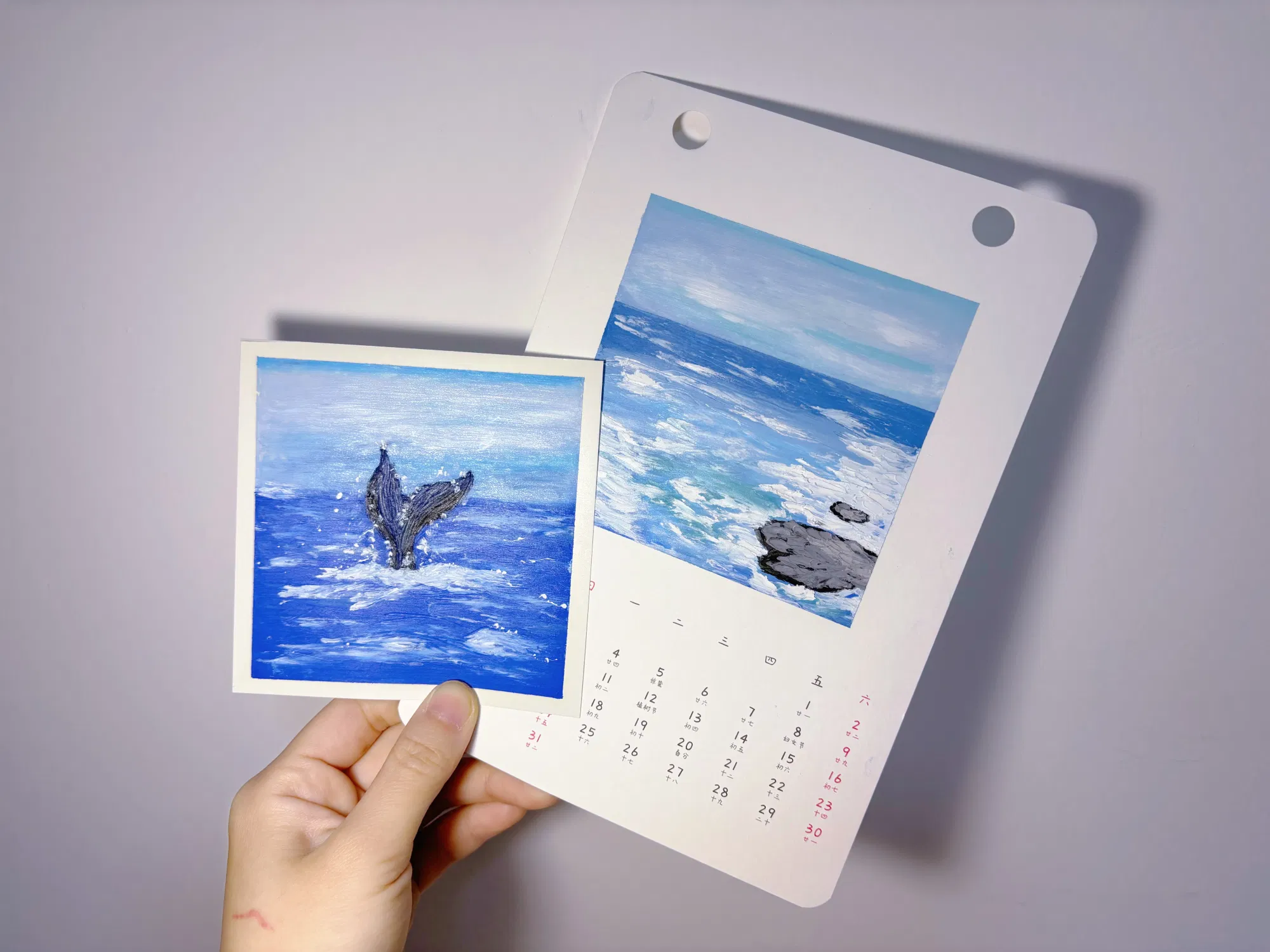 xNzWdtTxqbbavNrP_IMG_6231.png