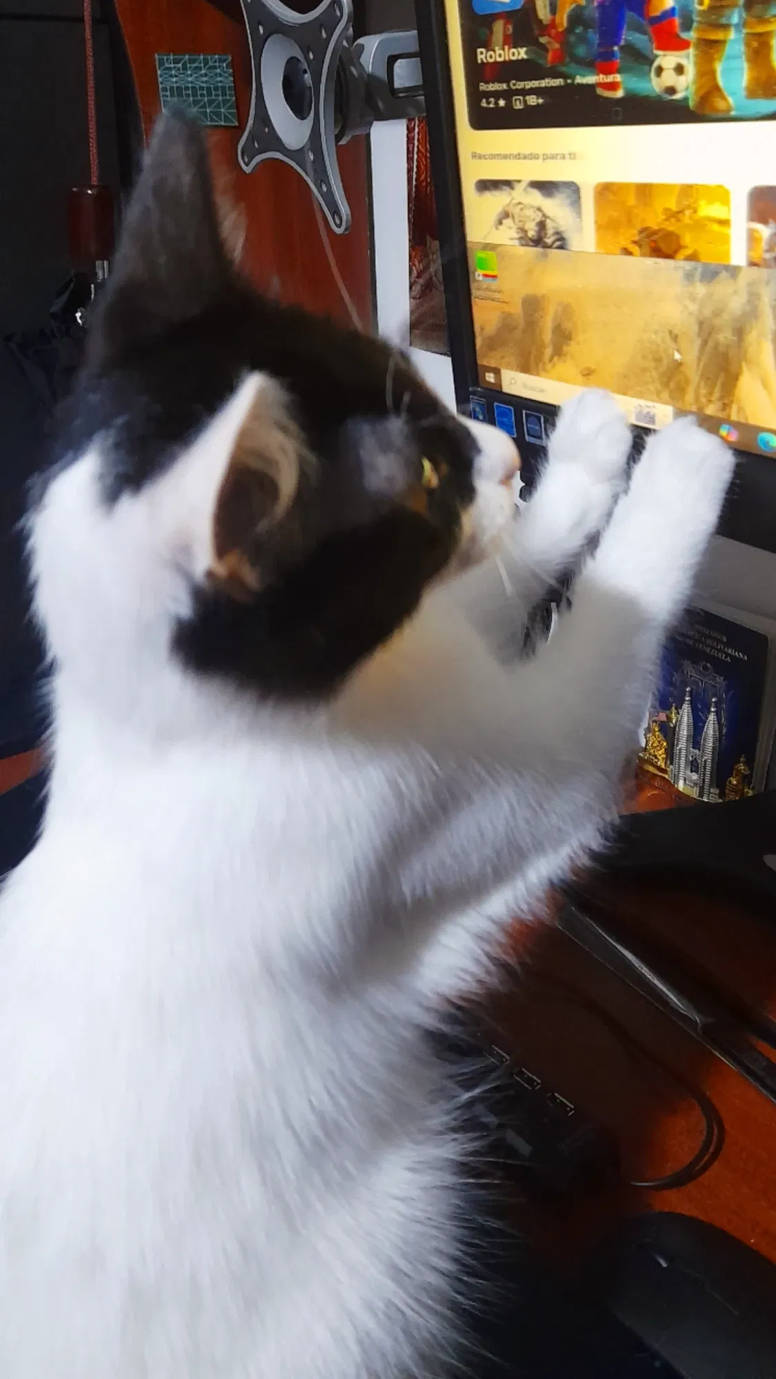 La hermosa Lia | The beautiful Lia