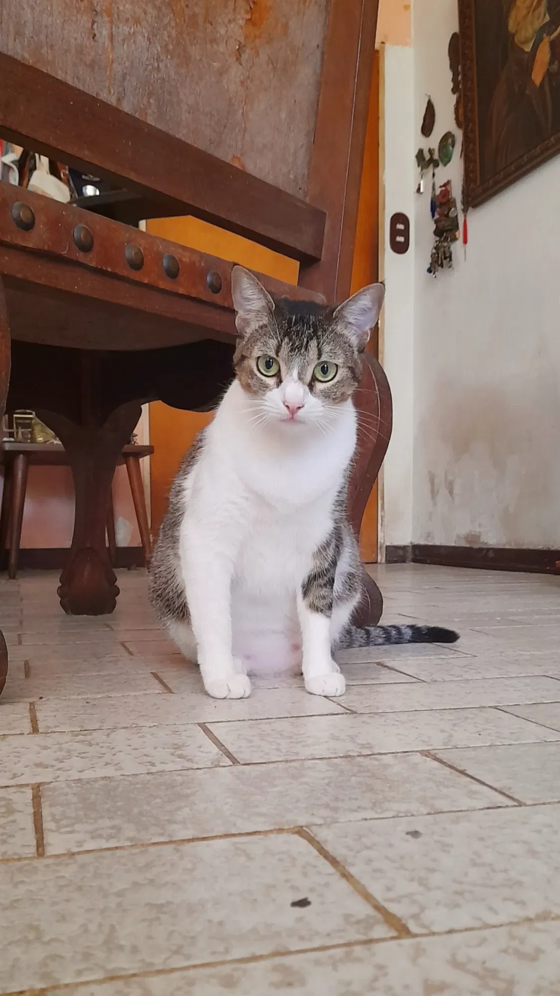 La belleza de Jade | The beauty of Jade