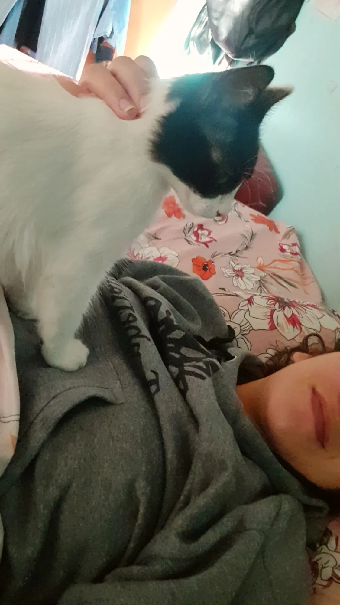 Mis grandes amores | My great loves