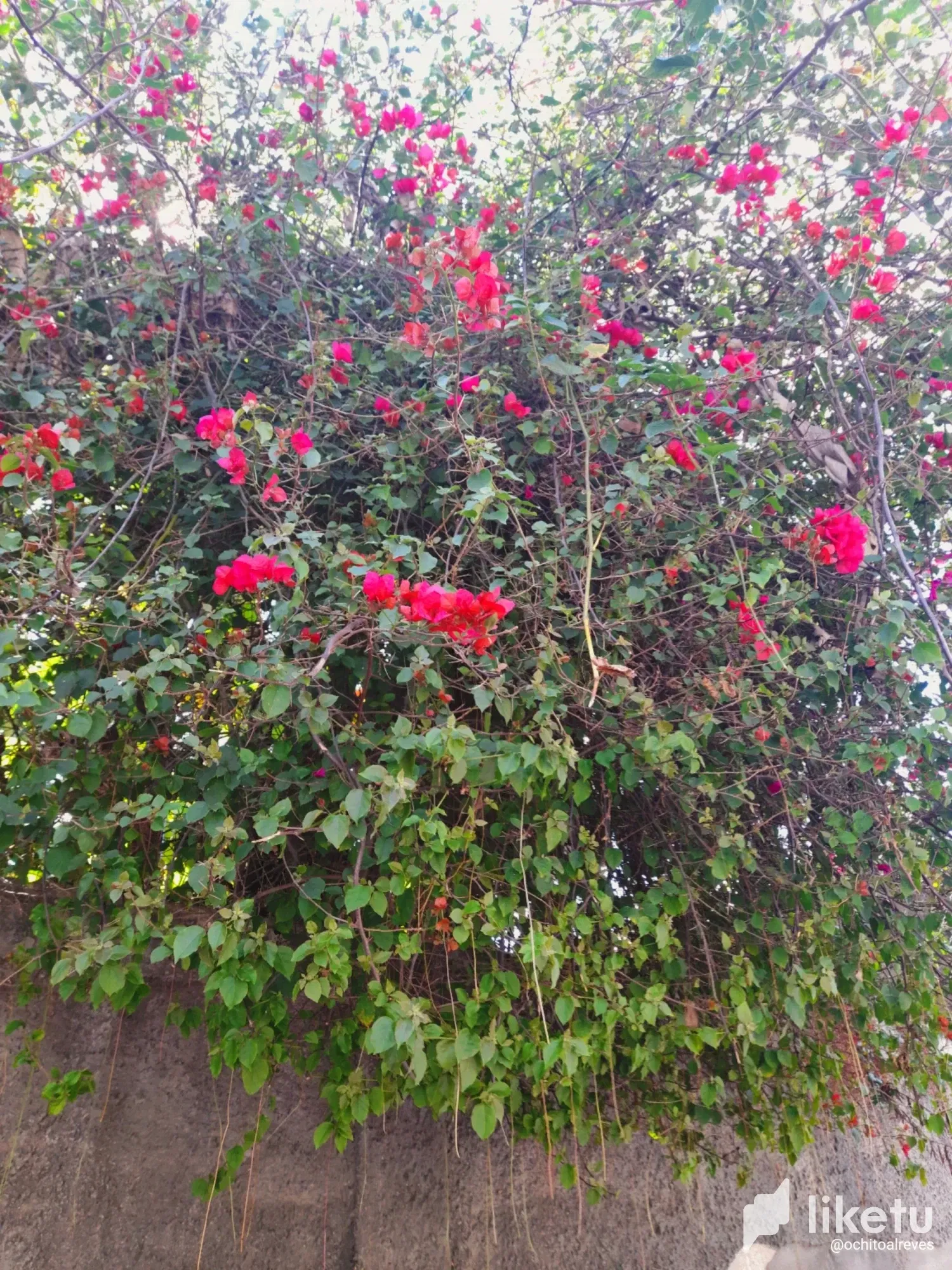 cls3eya9q00j79pszasgbag8a_Picsart_24-01-30_13-55-08-419.webp