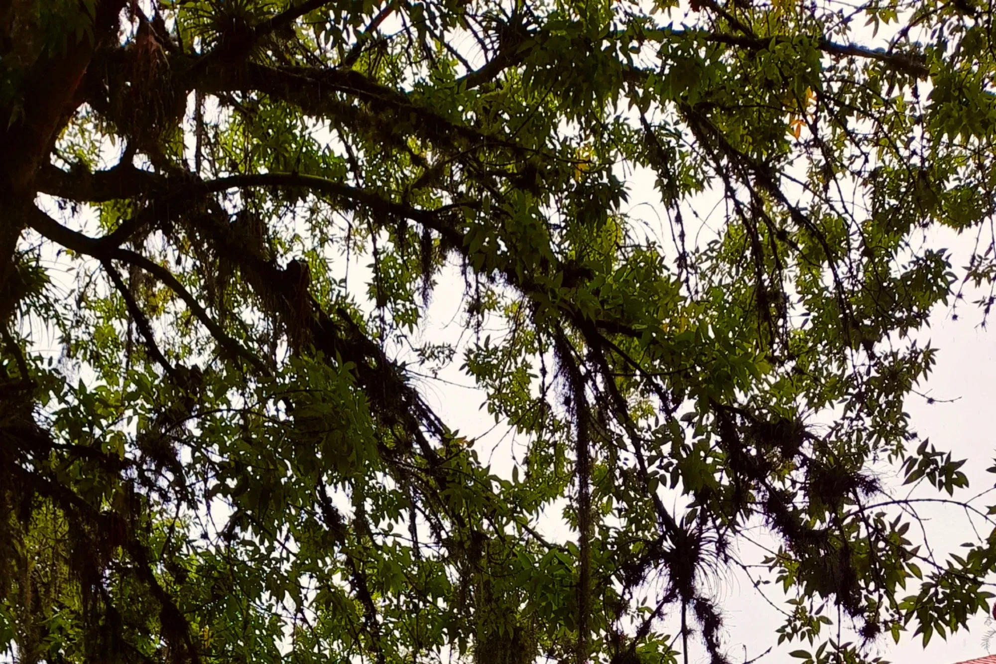 f1PgXDSEBqujWSi2_Picsart_25-09-12_11-42-54-637.webp