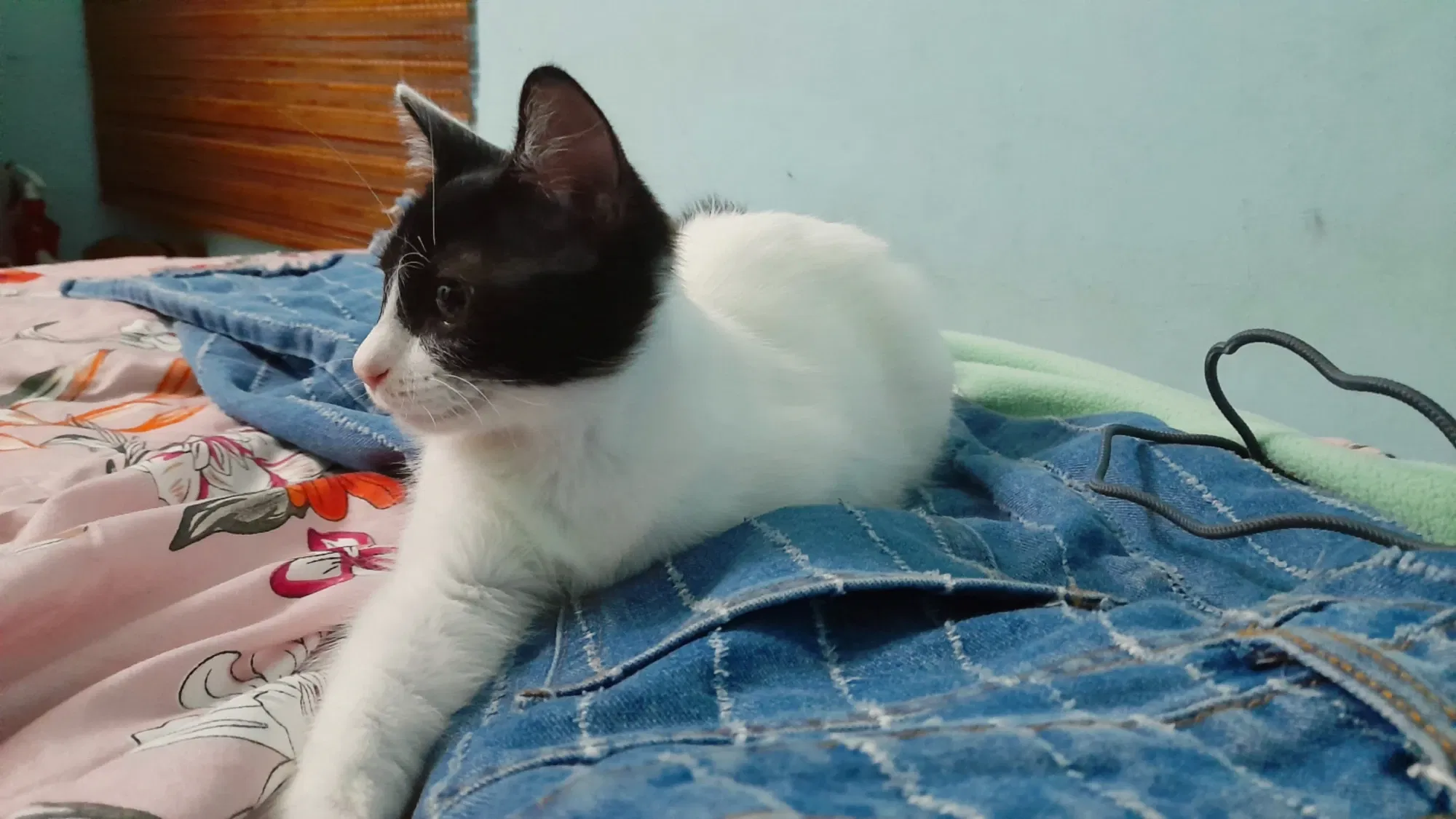 La hermosa Lia | The beautiful Lia