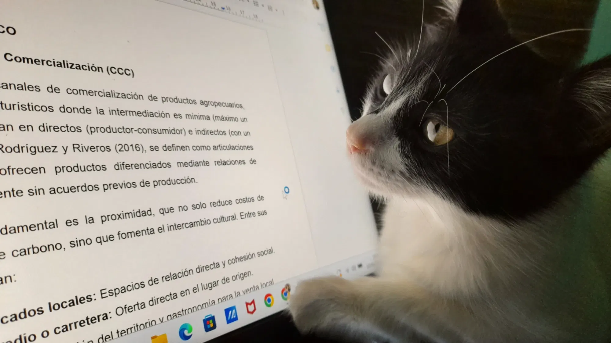 La hermosa Lia | The beautiful Lia