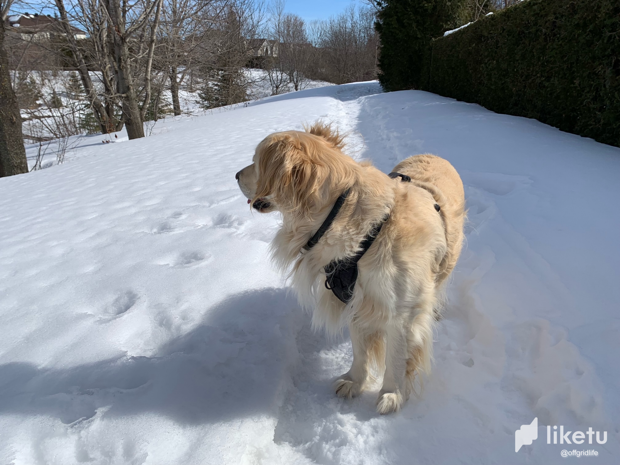 Spring time melt in Canada  … 