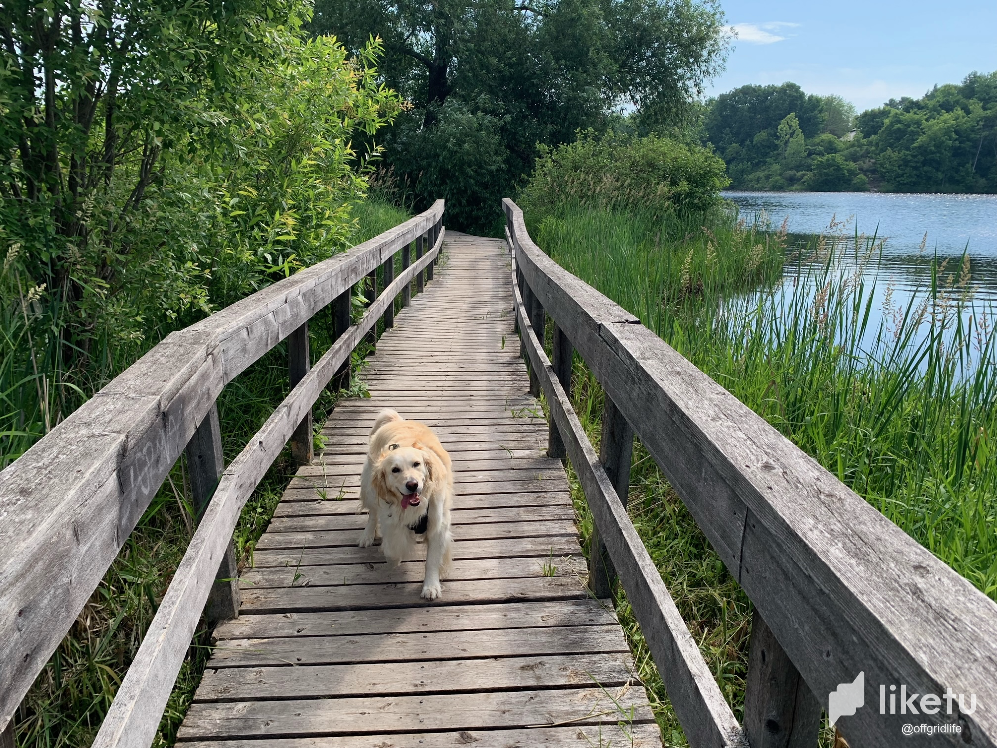 Sunny day on the Rideau 