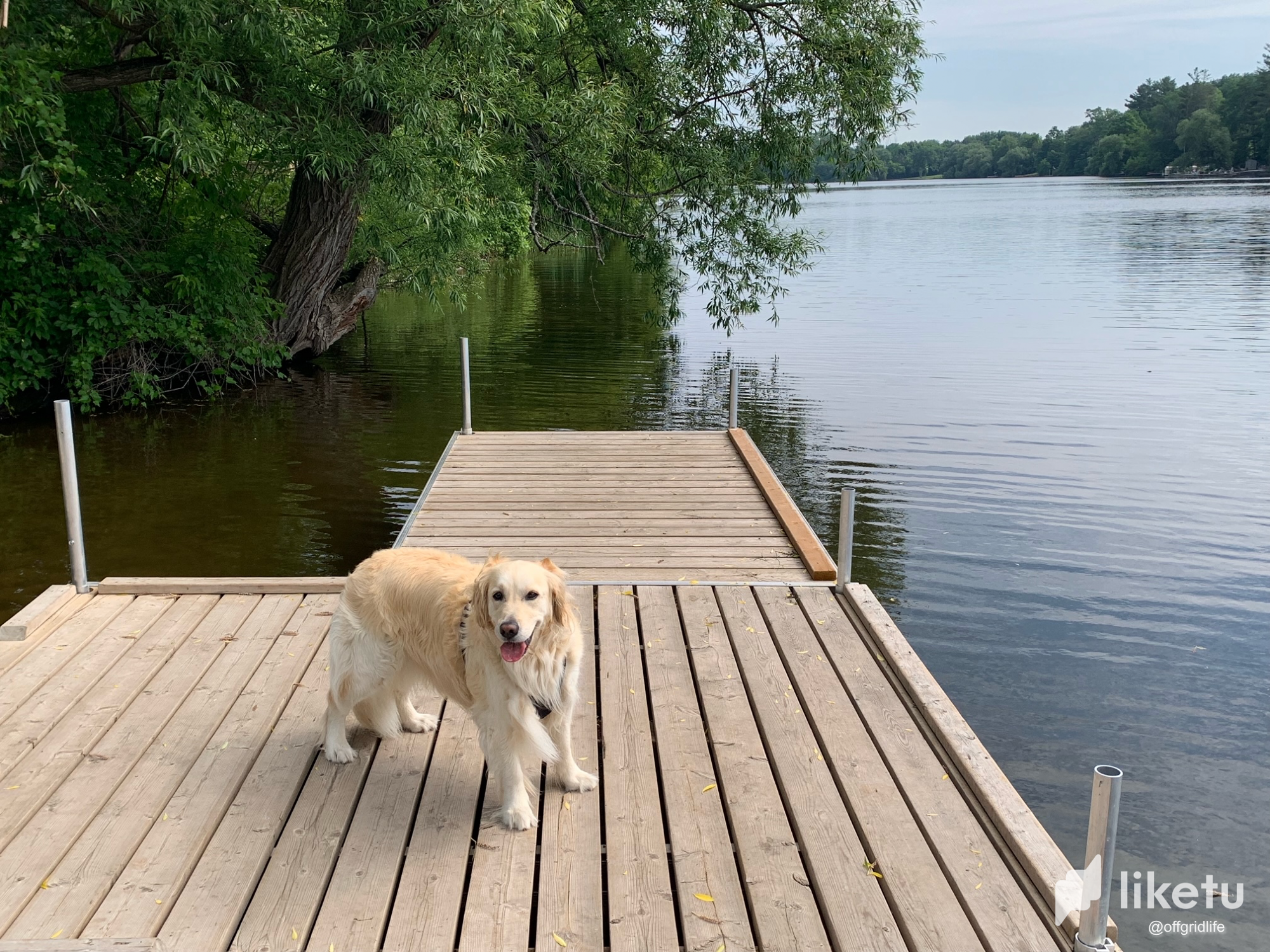Sunny day on the Rideau 