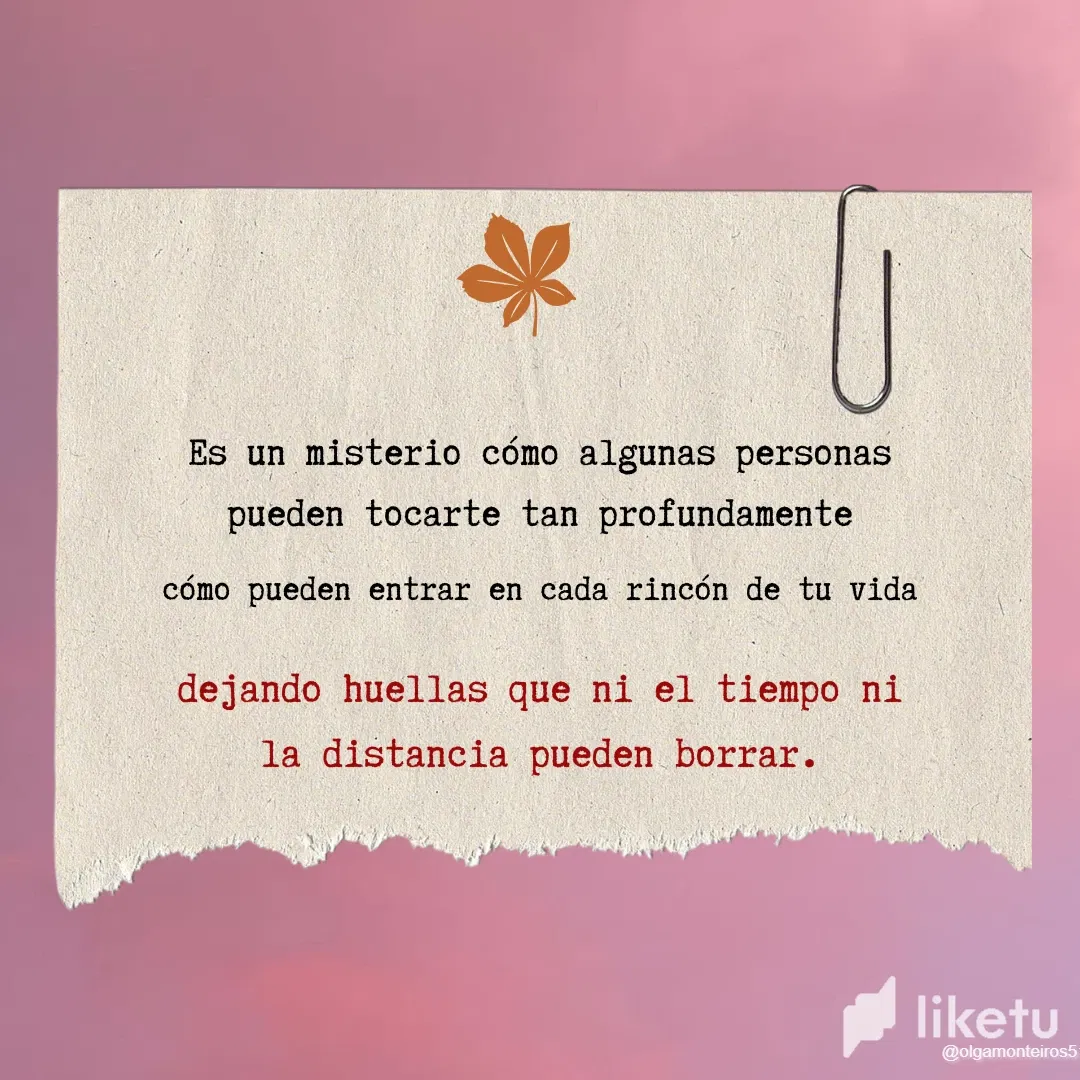 wln13zT1pXS70iof_rrr2.webp