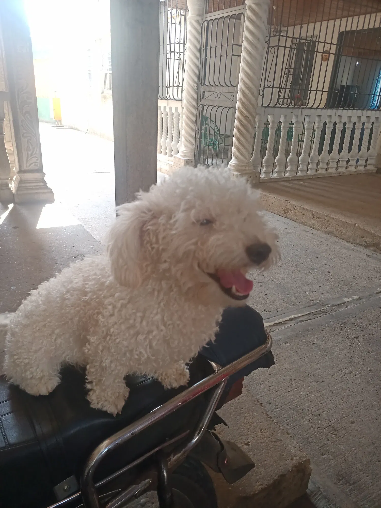 3oSjsfxwDvpAC6qD_IMG_20230418_151213_207.webp