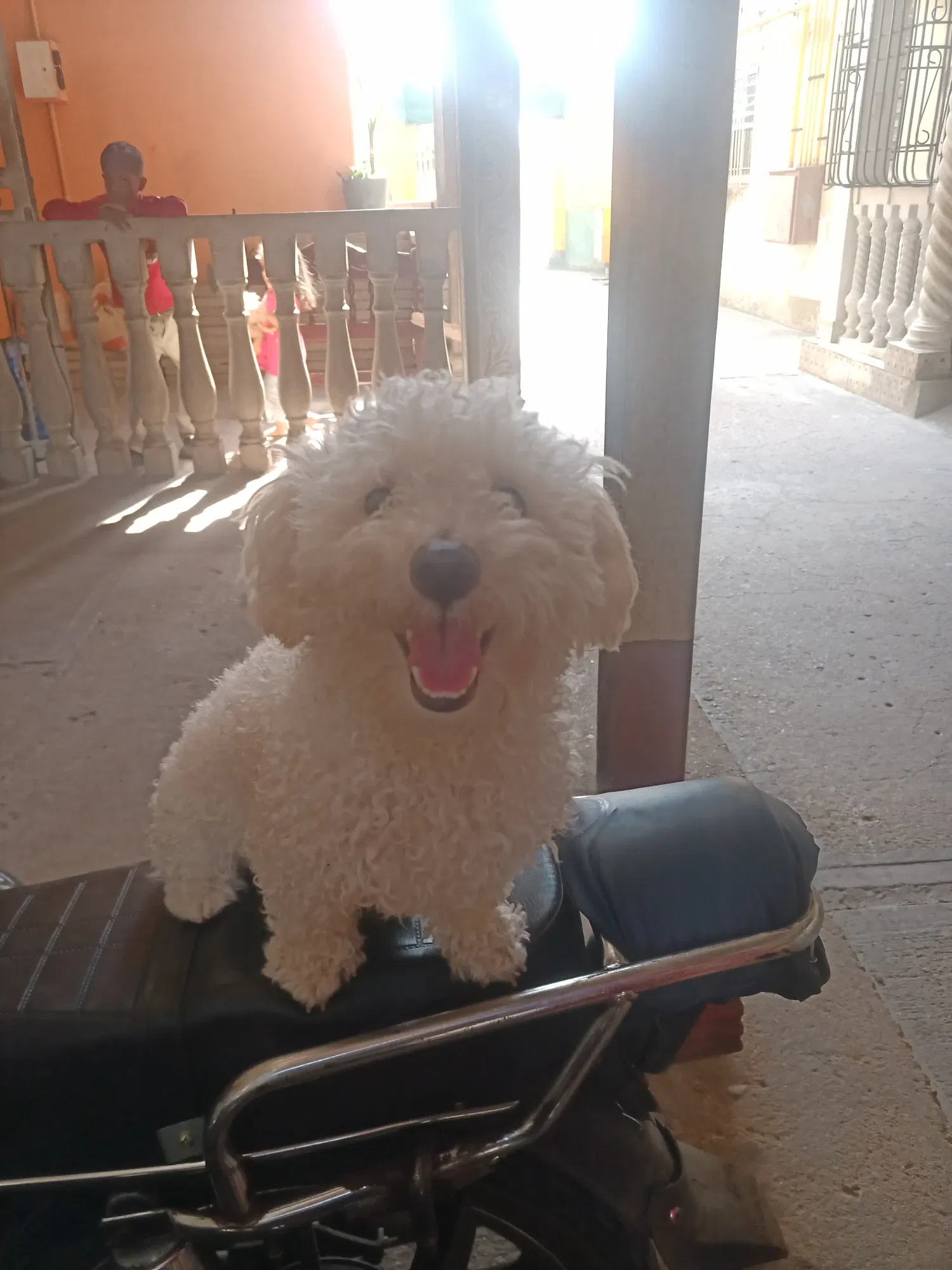 A1SJEBdbFazqhKFt_IMG_20230418_151210_676.webp