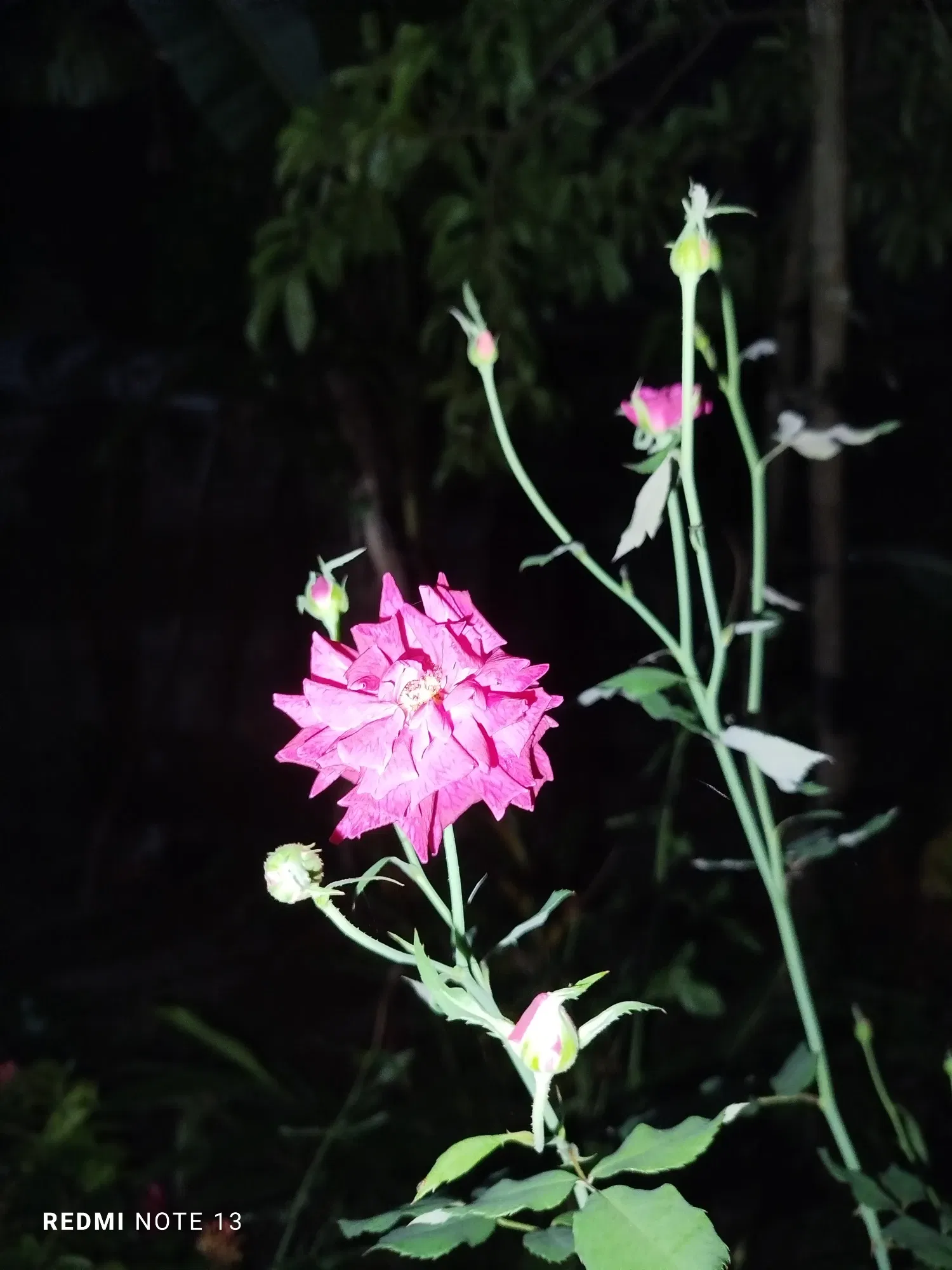 AuAqcts3J8u2qEDR_1000881528.webp