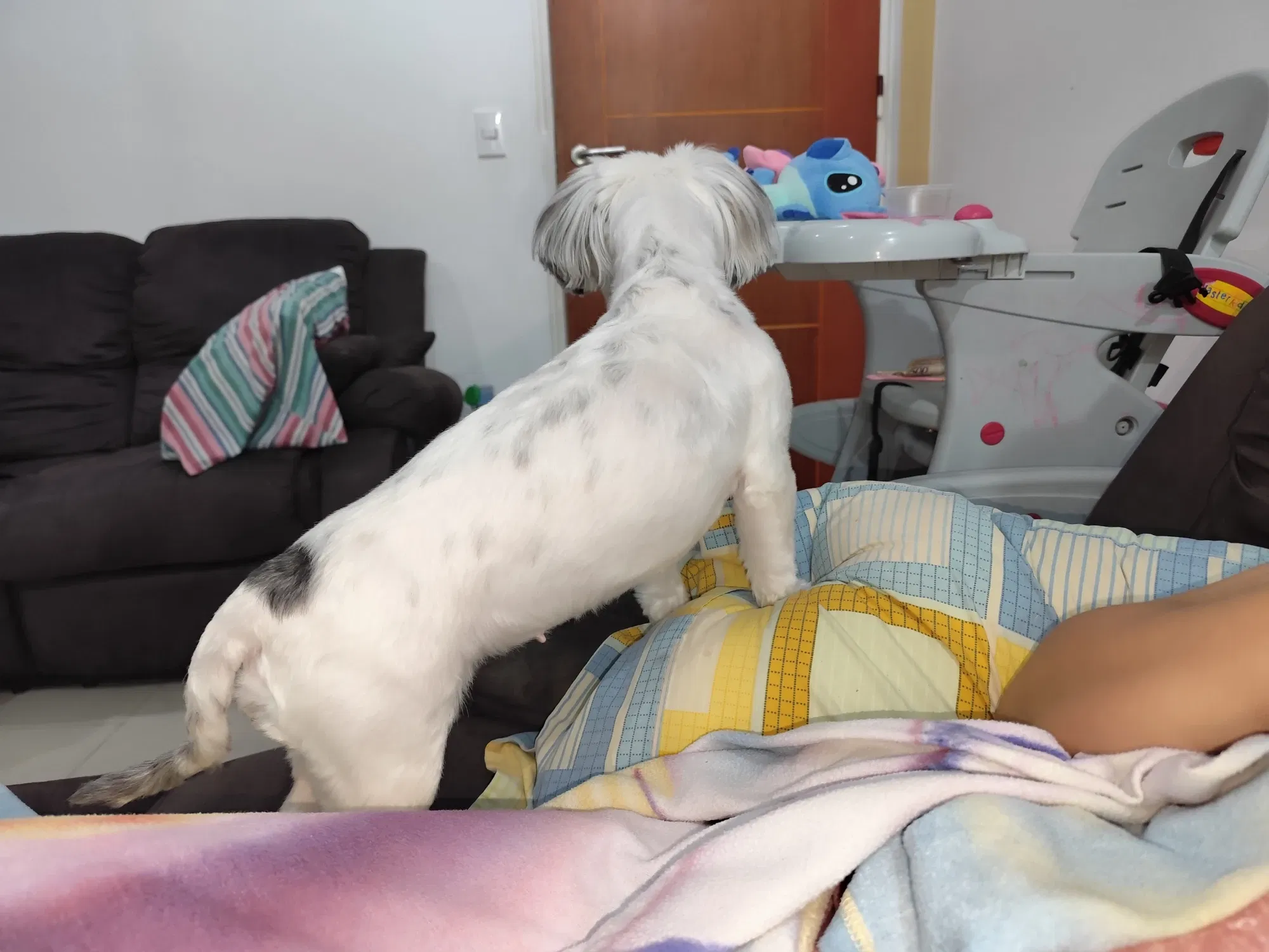 dqBqrRkQEKeUeCQv_1000287526.webp