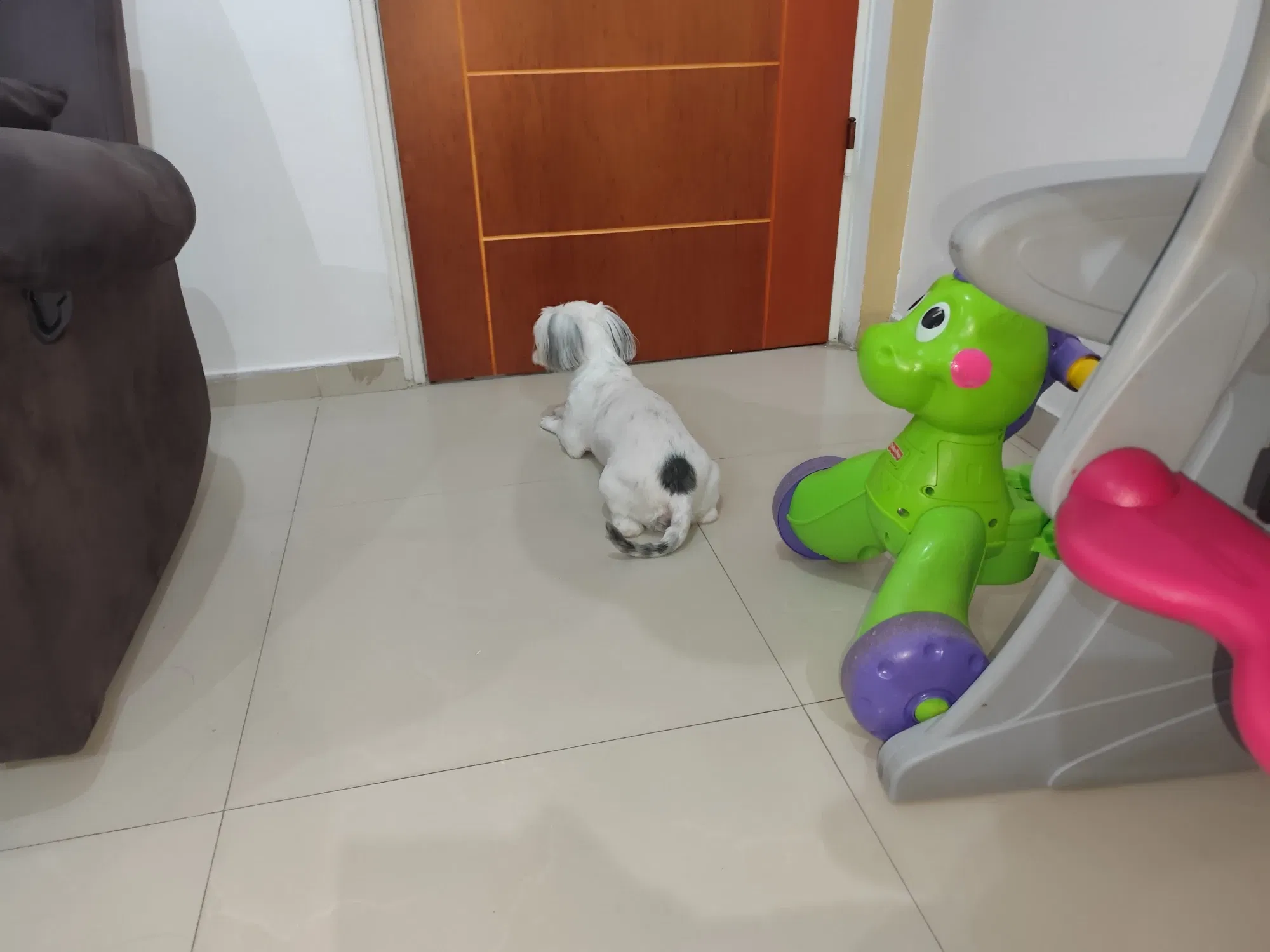 mbHEB3DmZFSXJoN6_1000287523.webp