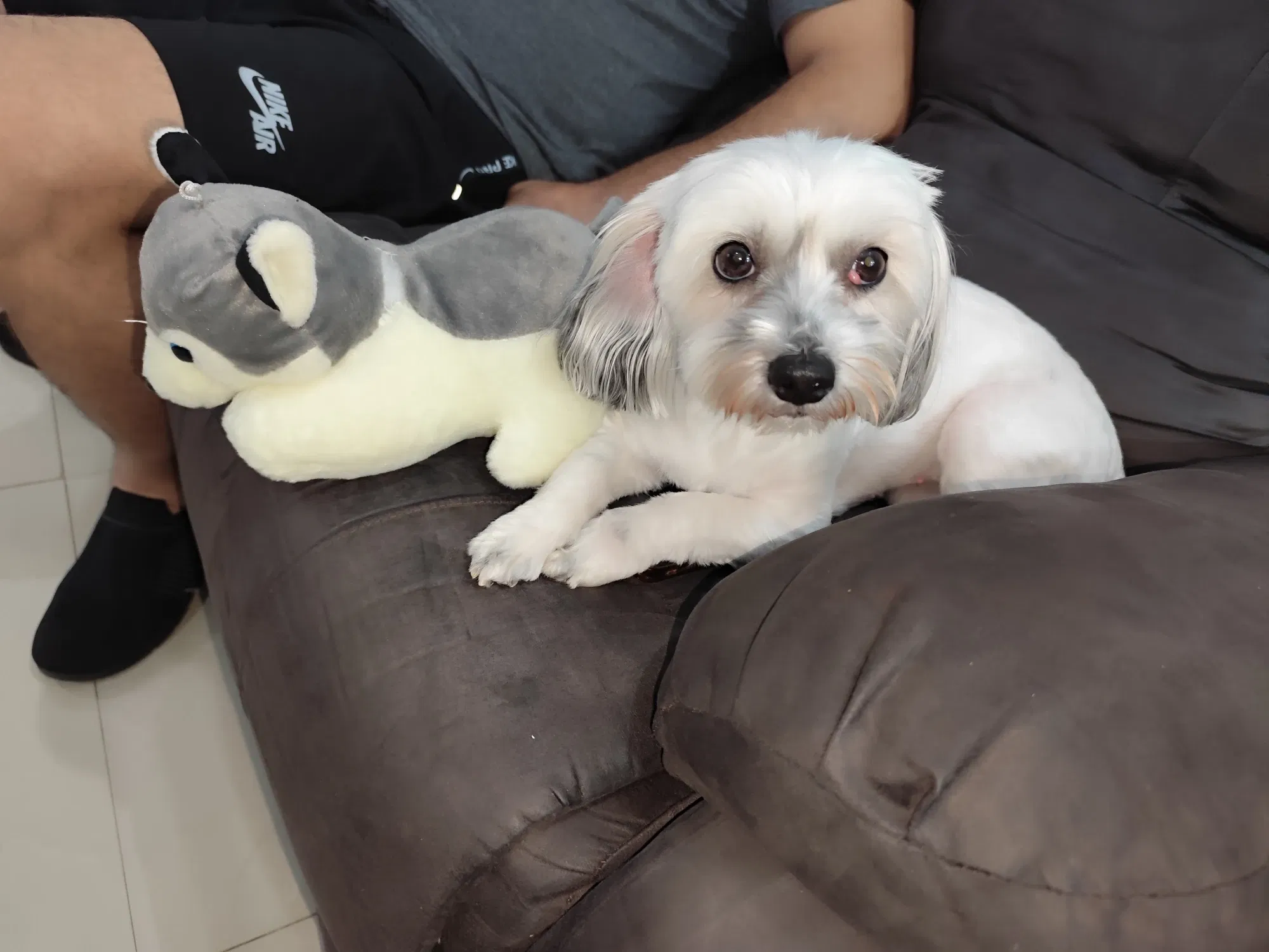 s1Enpa7LfFEdIL7l_1000287525.webp