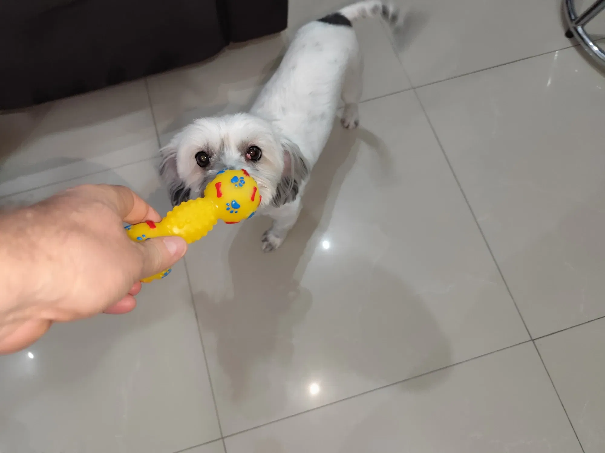 wTerL5Ud6tDtR9H5_1000287524.webp