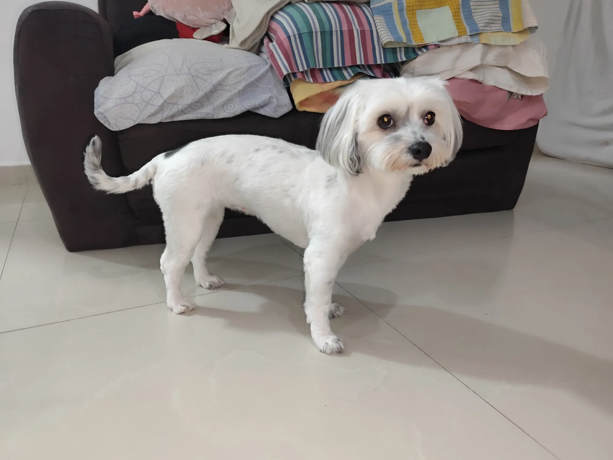 xSuXQ9xr21P6cRvI_1000287527.webp