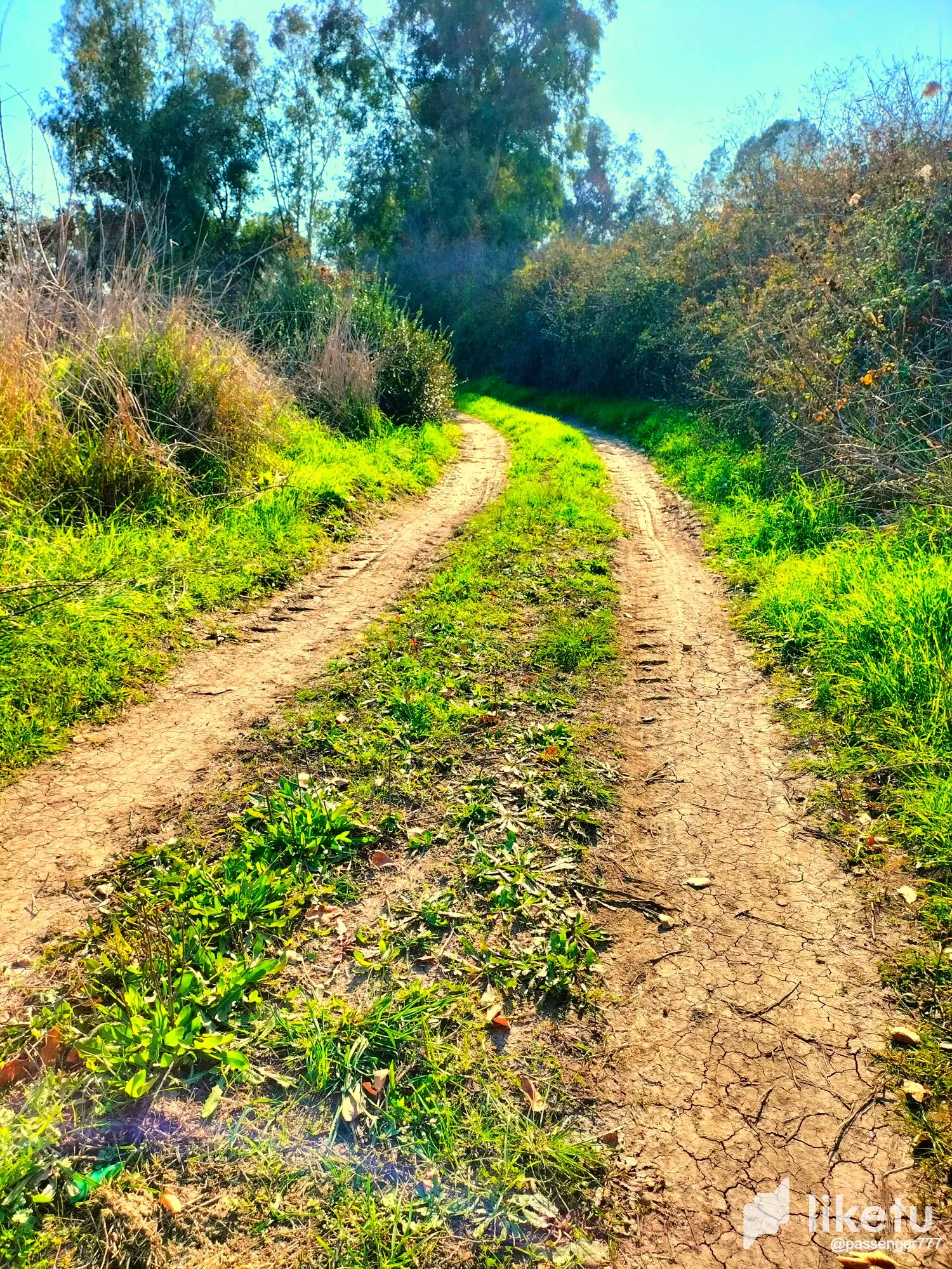 clcqto1vh008z0xszdc9k3gt5_12.webp