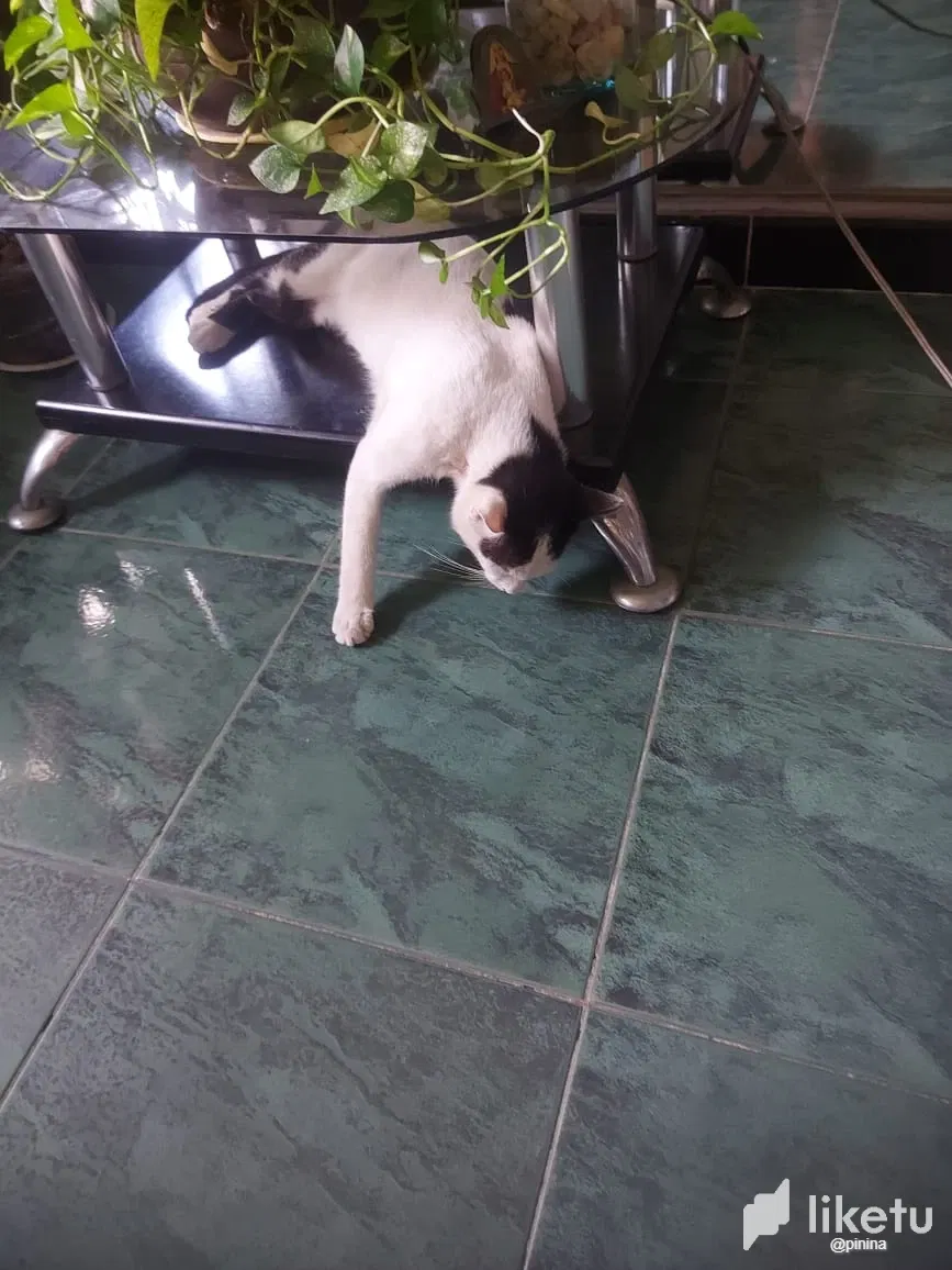 7OiQ6fNsYPwPdbFa_IMG-20250528-WA0027.webp