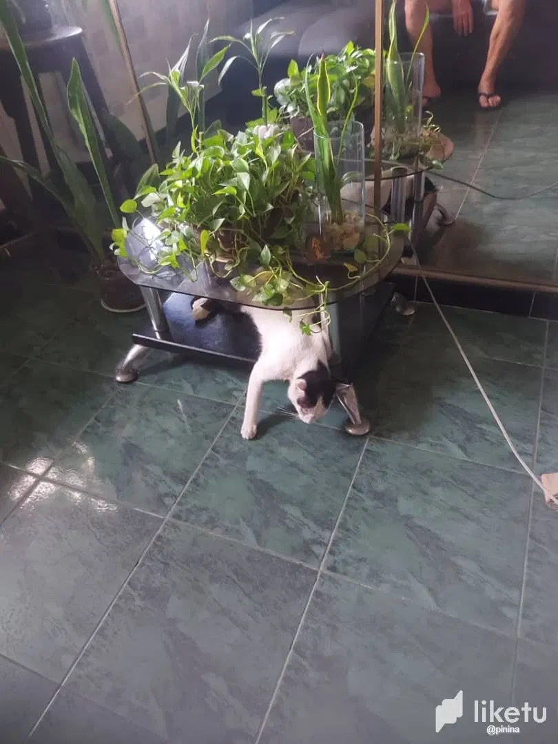 HCyFyBIUSHBJhChG_IMG-20250528-WA0024.webp