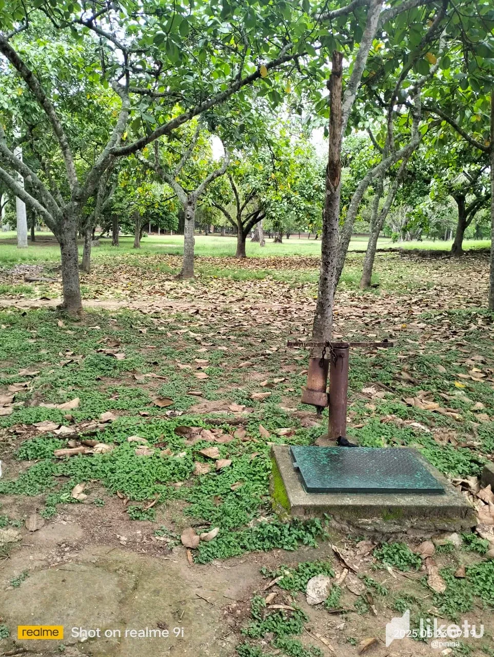 NSmcb8oZSXRczRNx_IMG-20250626-WA0068.webp