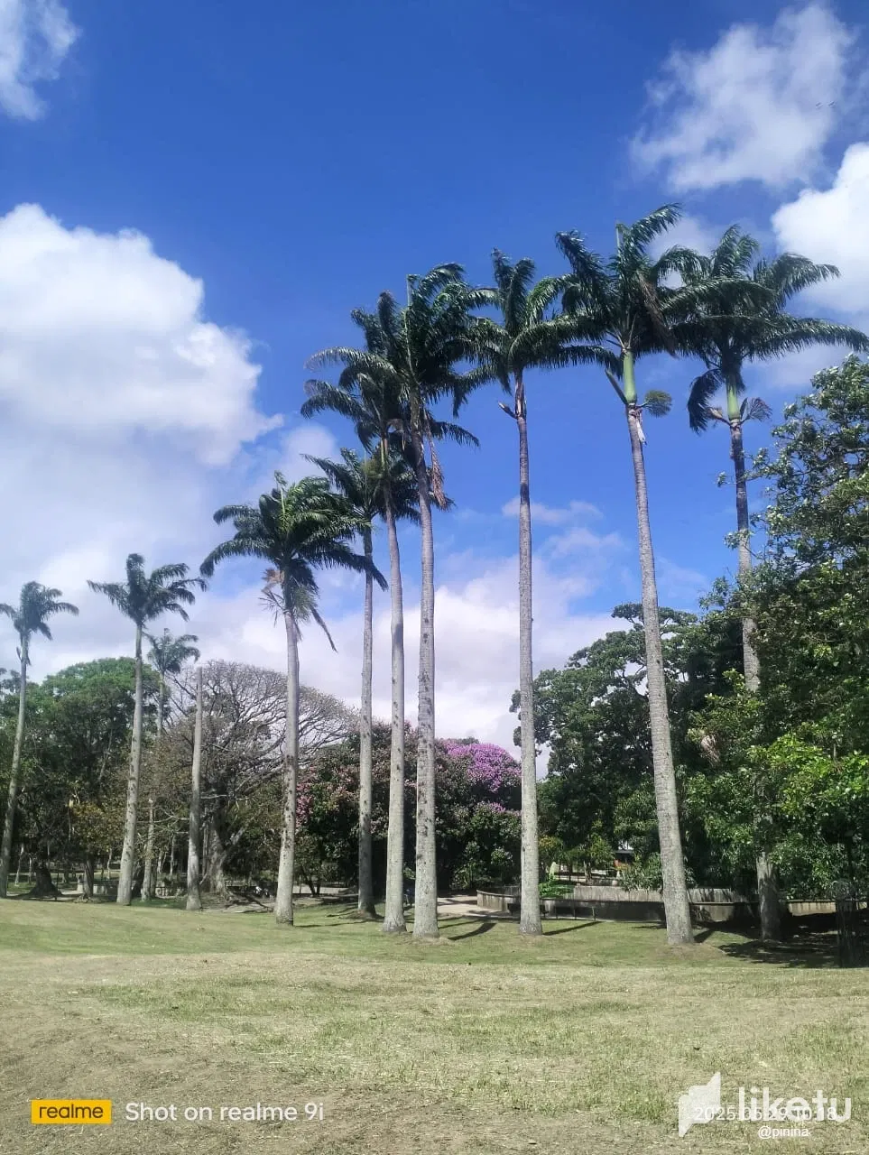 pgnucGO2kcBeeexE_IMG-20250626-WA0066.webp