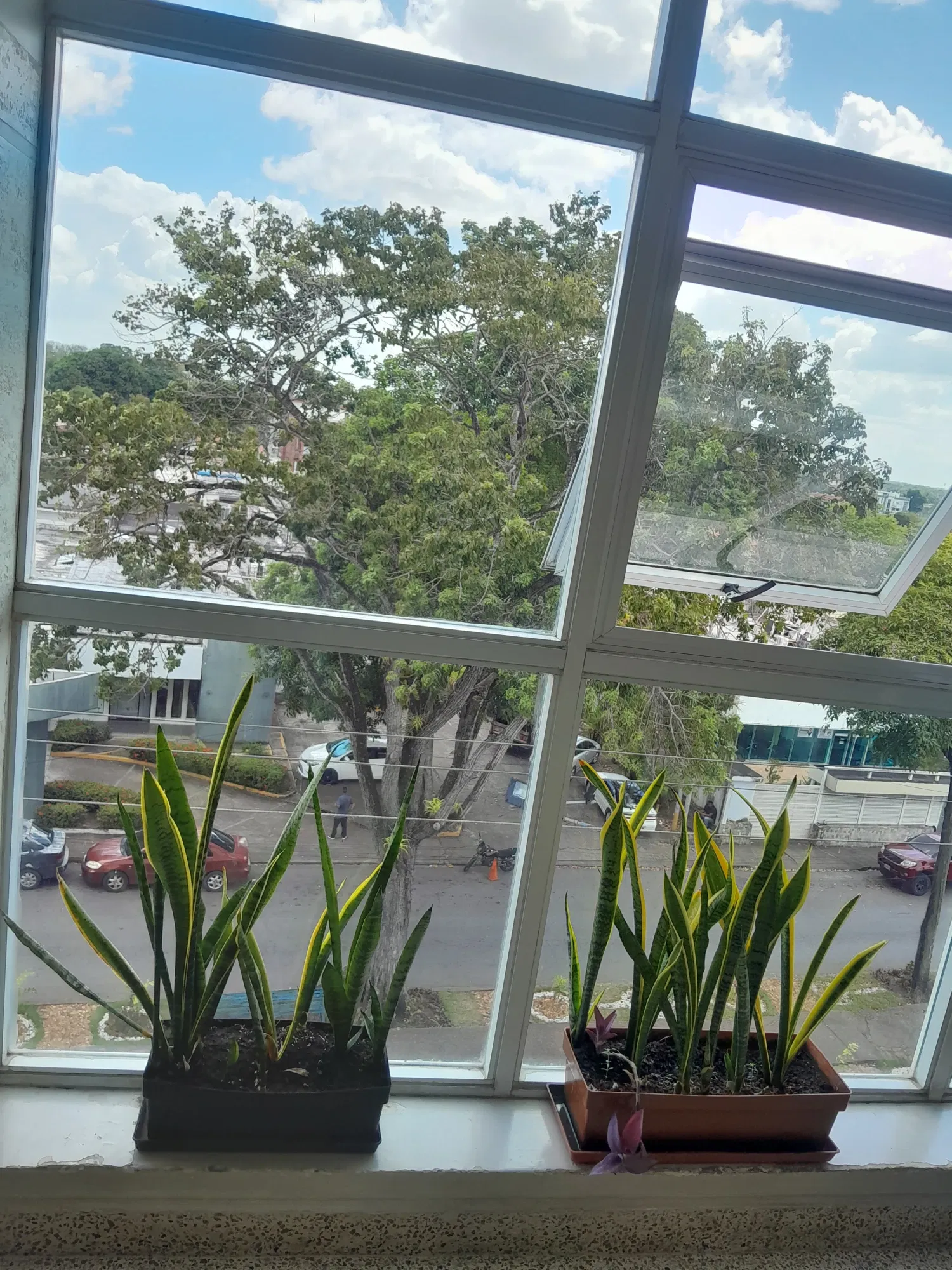 Acompañando a mamá a su consulta con el Cirujano 😁🙏