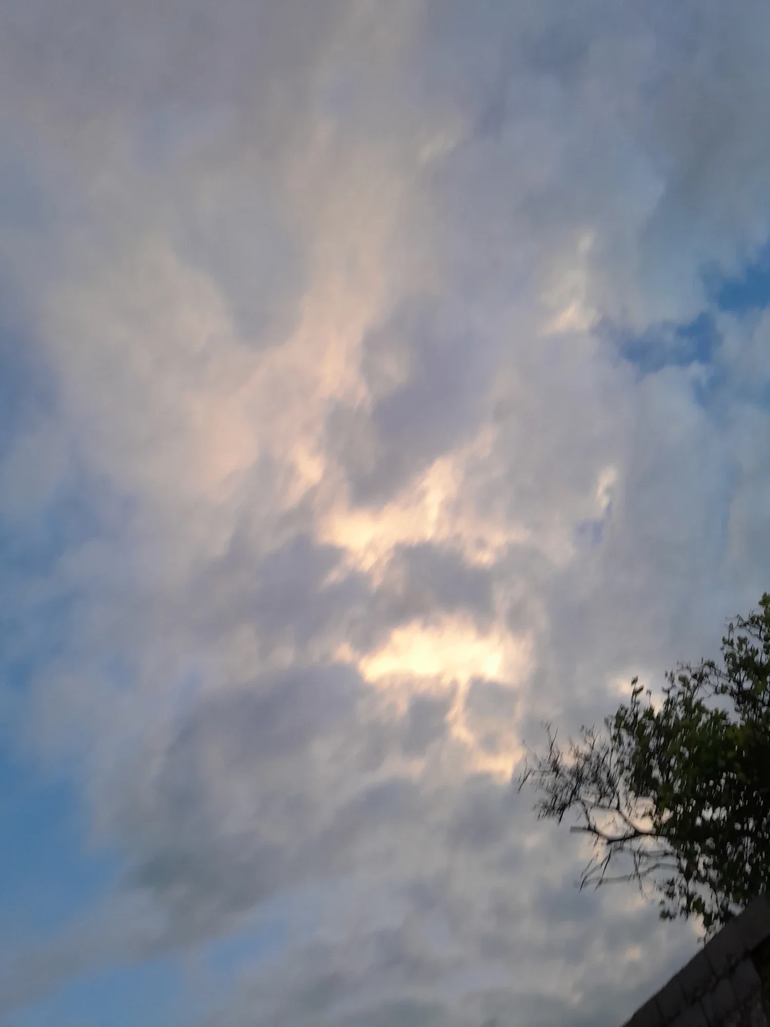 xJFcfqpk0LKi3P2a_1001294570.webp
