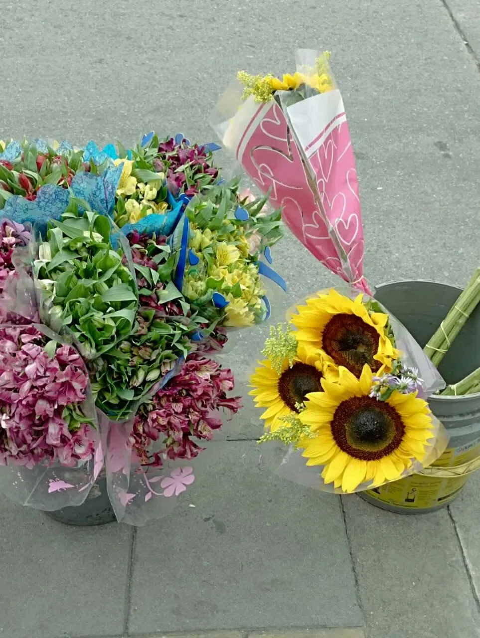 EFgRtKM4rFI8Hvtf_flores.webp