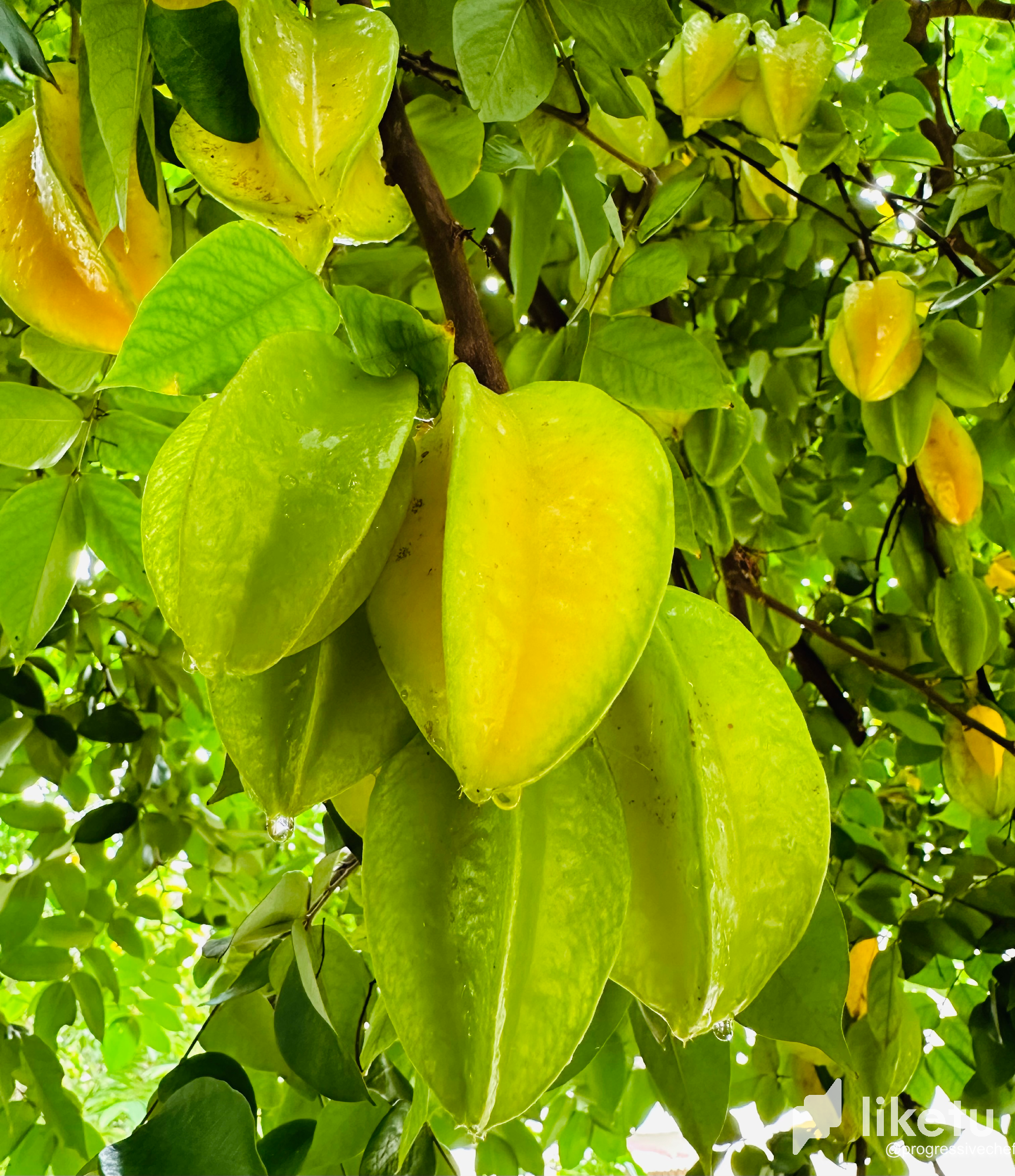 cluid9d8z000pslsz5d2f1l8w_IMG_5310.png