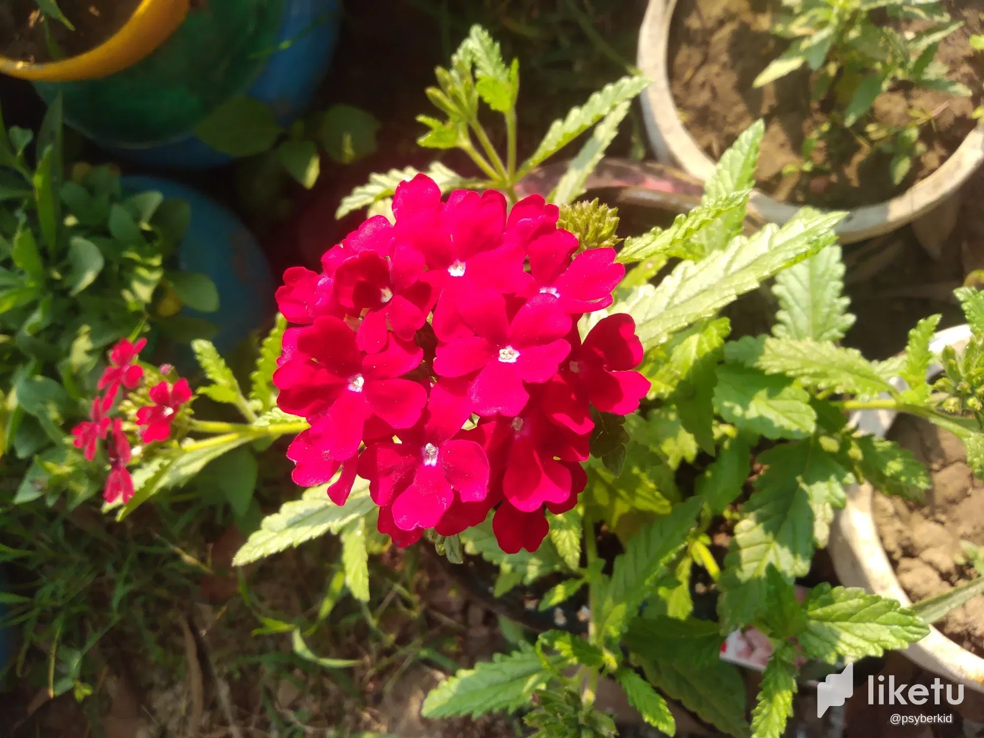 clrxpniax001sxisza5rh86xs_IMG_20240103_154022.webp/