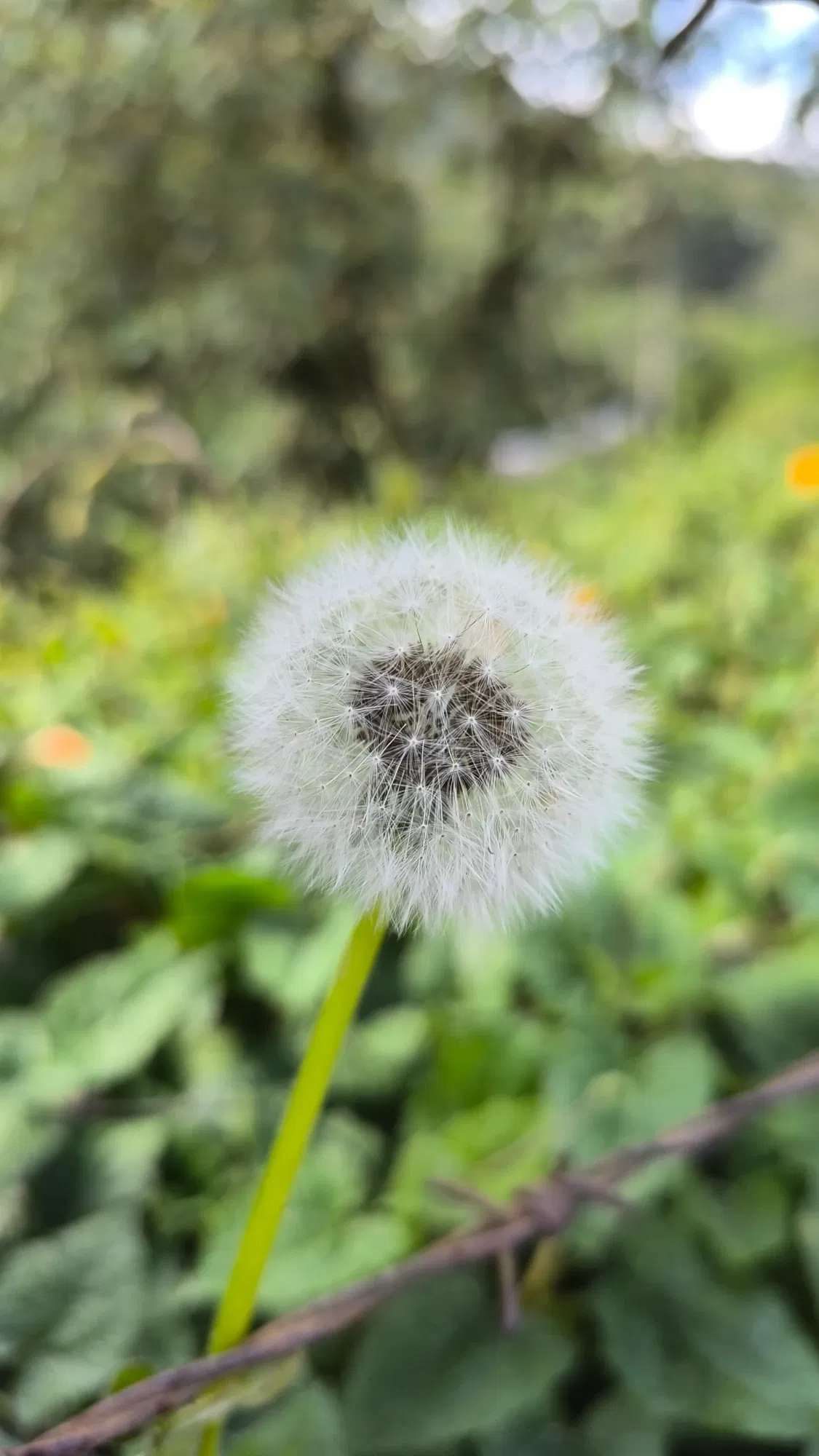 NPGFm6H3Yqh9pEpo_1001181901.webp
