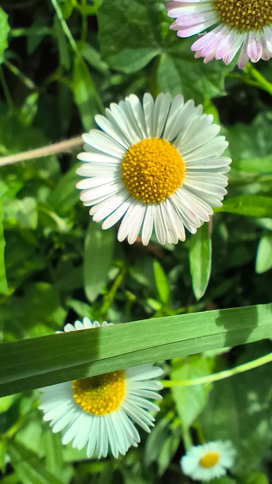 YmkGW9r4uhdkep9f_1001181898.webp