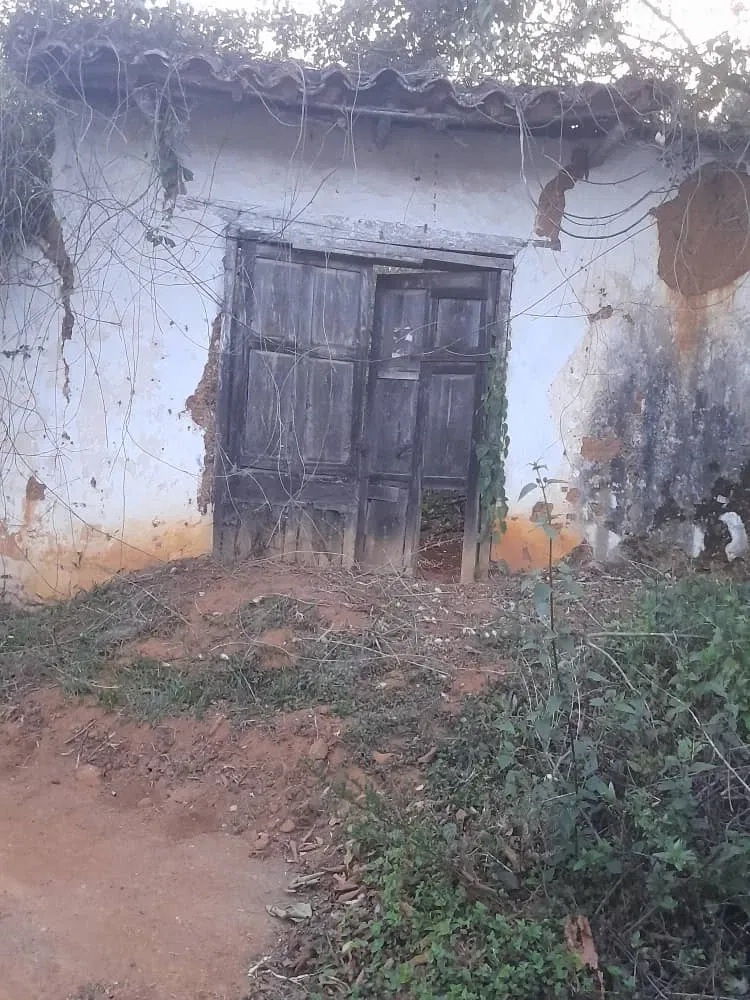 HNfo2UgX318pmWB6_WhatsApp_Image_2025-03-27_at_6.20.10_PM.webp