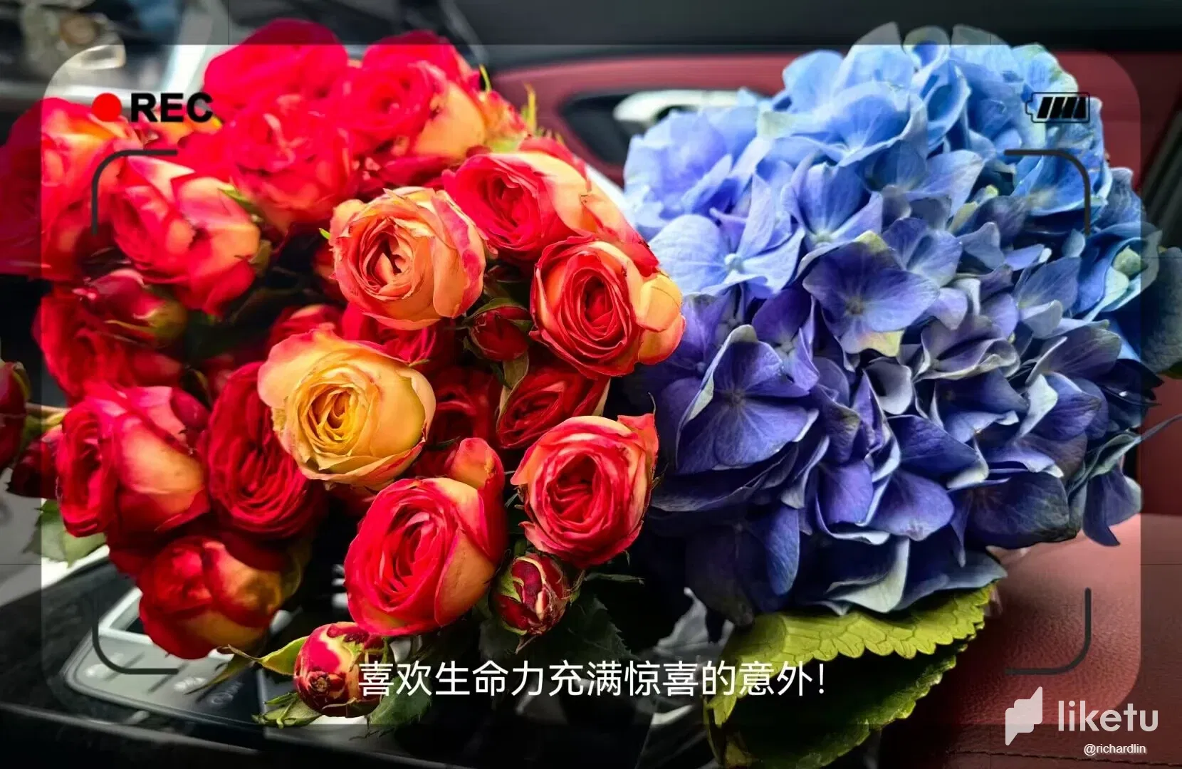 clrxo7oih00182rszaz7t0qxv_QQ20240128233902.webp/