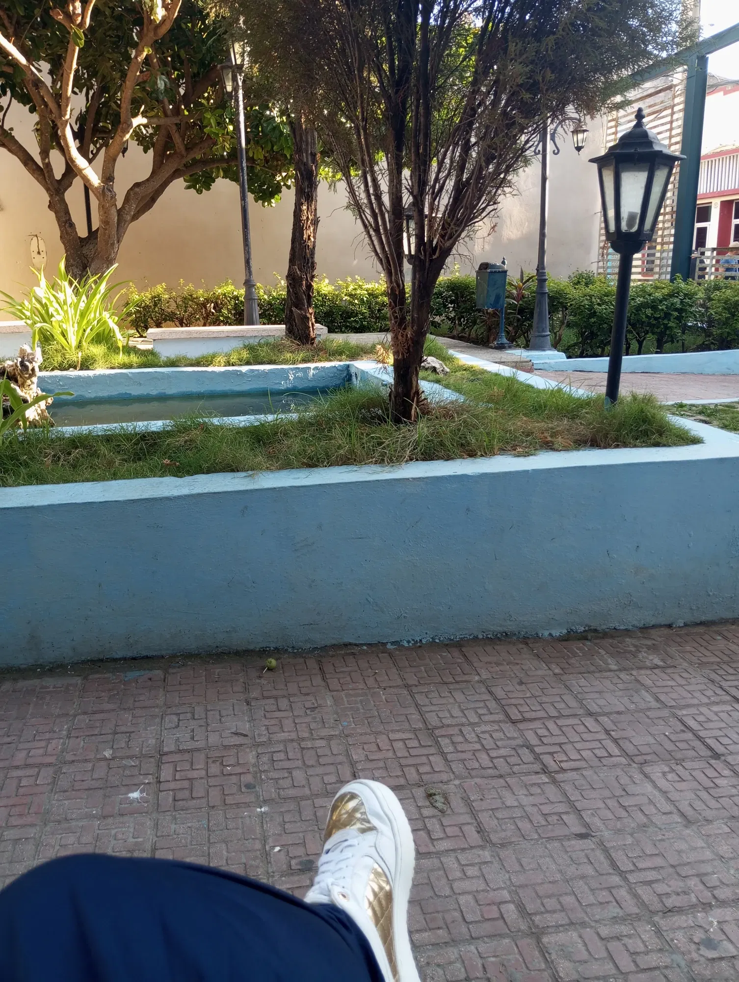 aTi4Rgvnap12WUnp_IMG_20250901_082008.webp