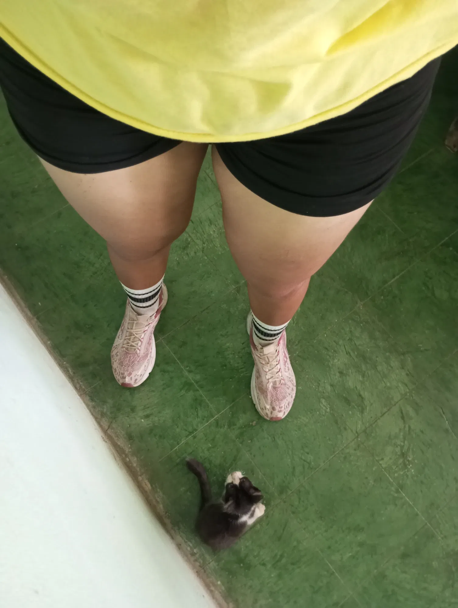 yYrAzZV3B5kMo1HH_IMG_20250830_115928.webp