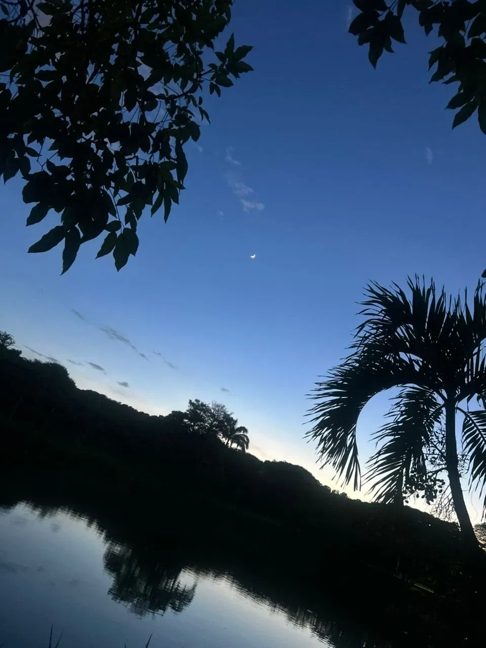 5X6AZuY0LIeK91uH_1000831903.webp