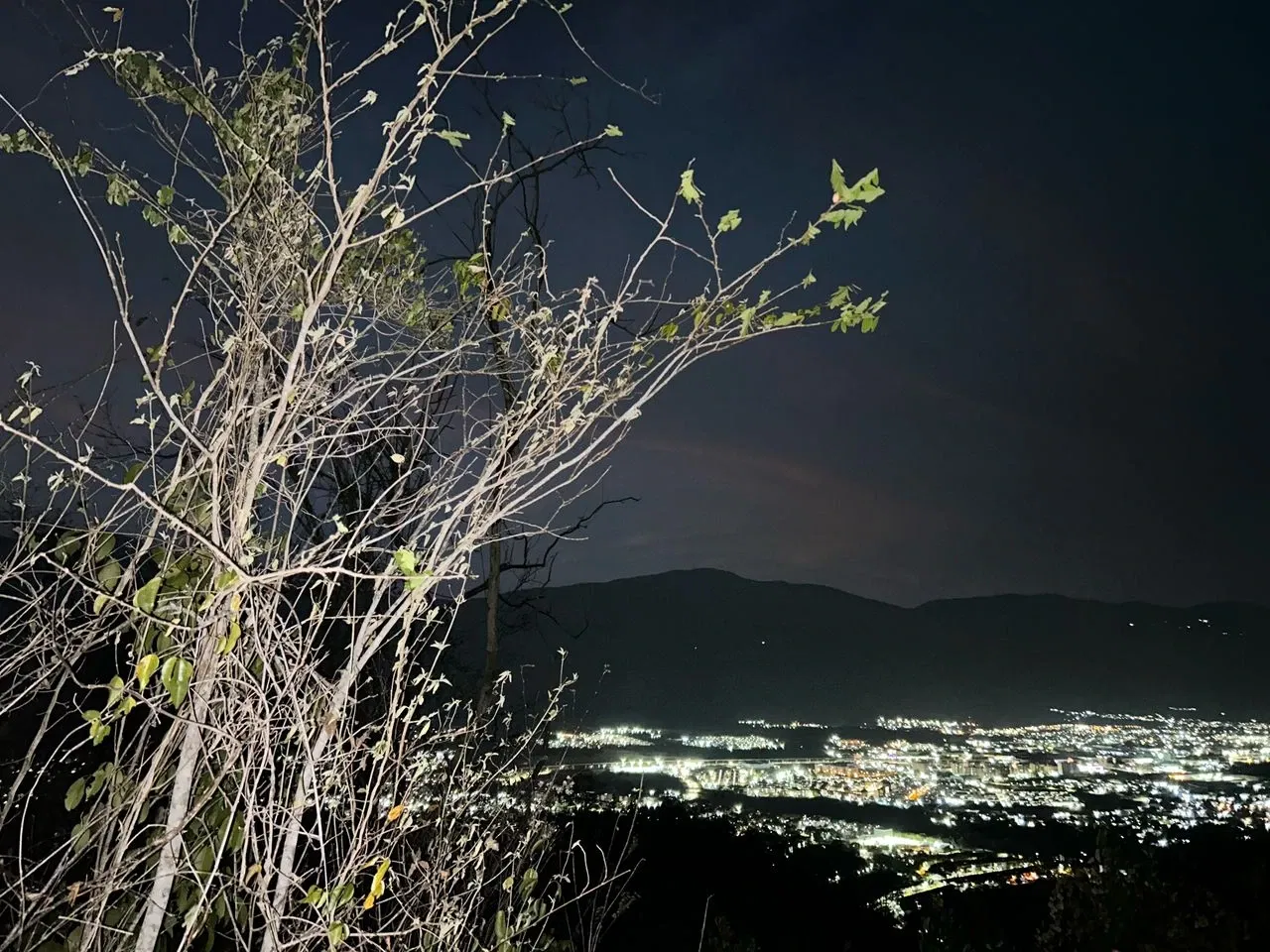 yLMiNIGJcPDs3JNK_1000391624.webp