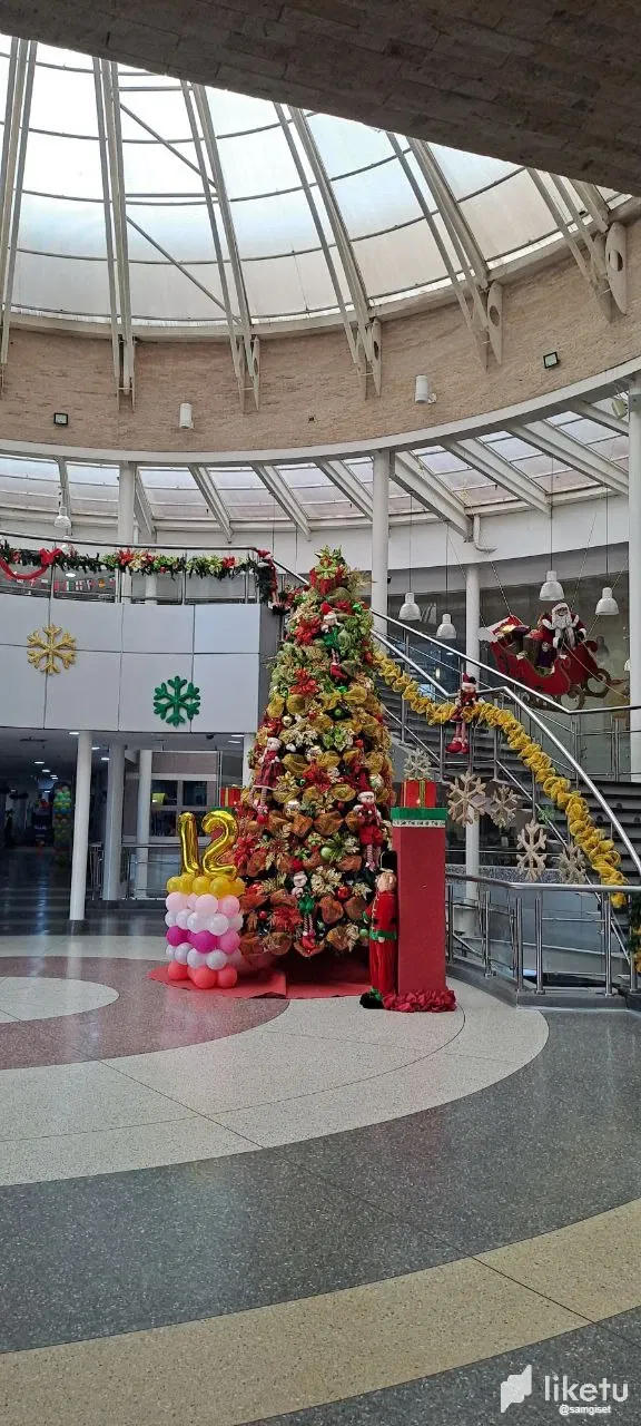 clbjzo6p103s31coq6xiybyje_photo_2022-12-11_19-14-57.webp
