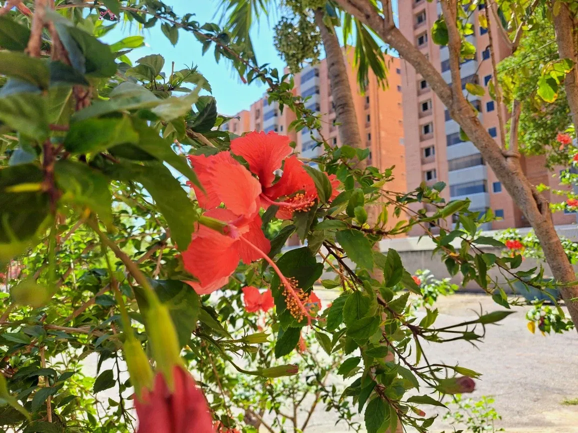  Gracias a Dios por tener donde movilizarnos.. Dia de diligencias medicas. (Spa-Eng)