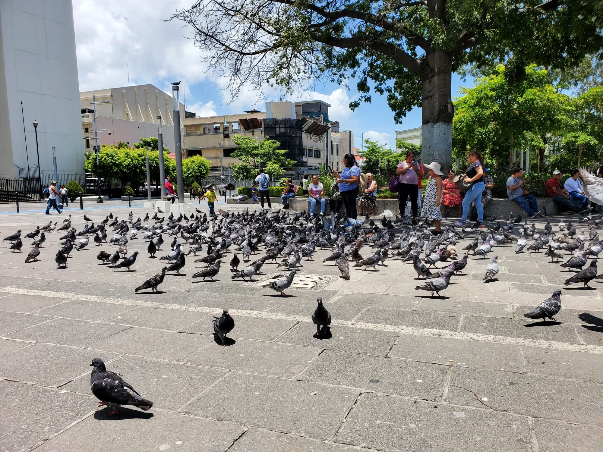 aWZk2BPTrMP97yiJ_20250812_120644.webp