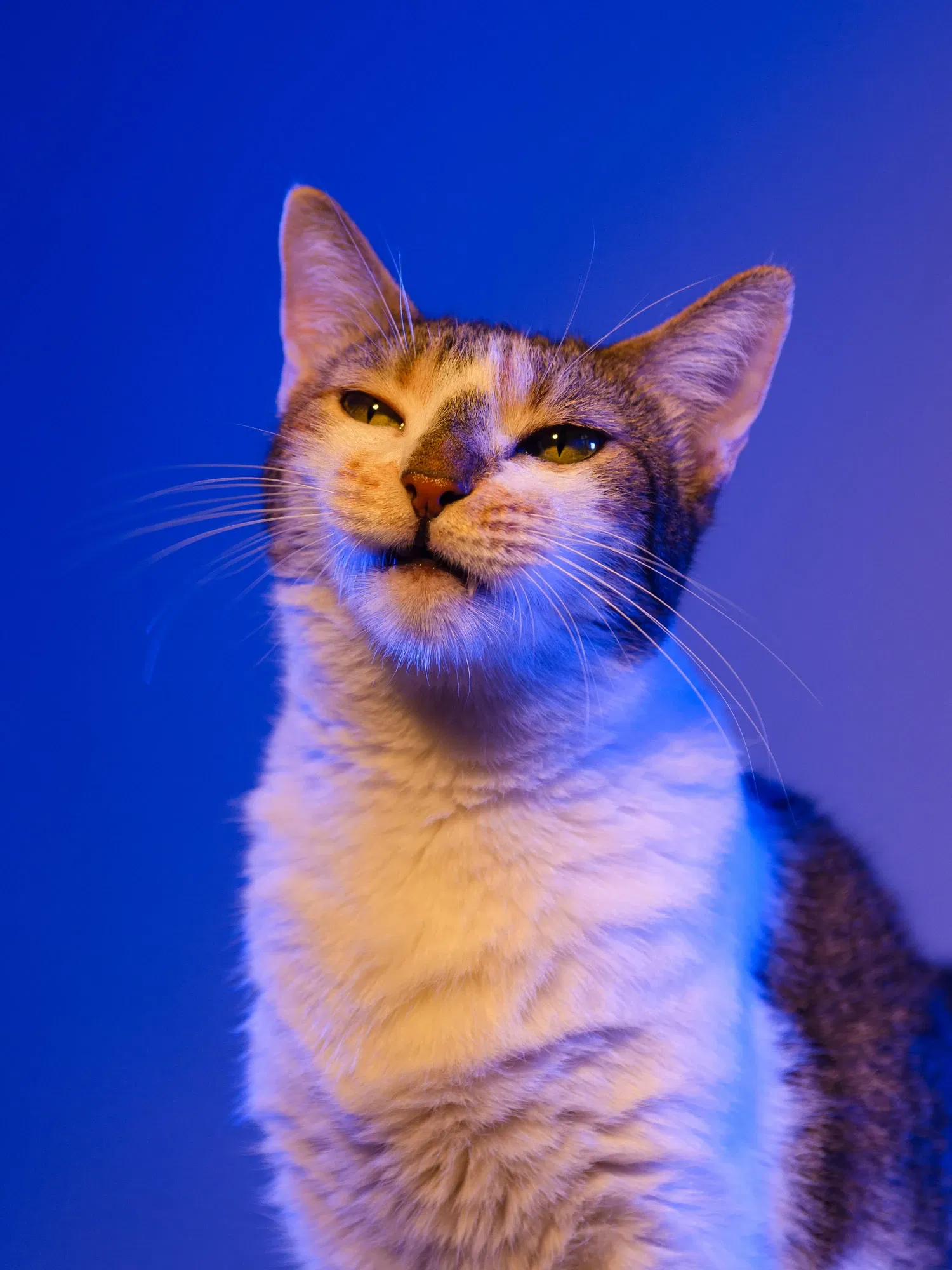 qe4hiyepcw8OOMUf_DSC_2585.webp
