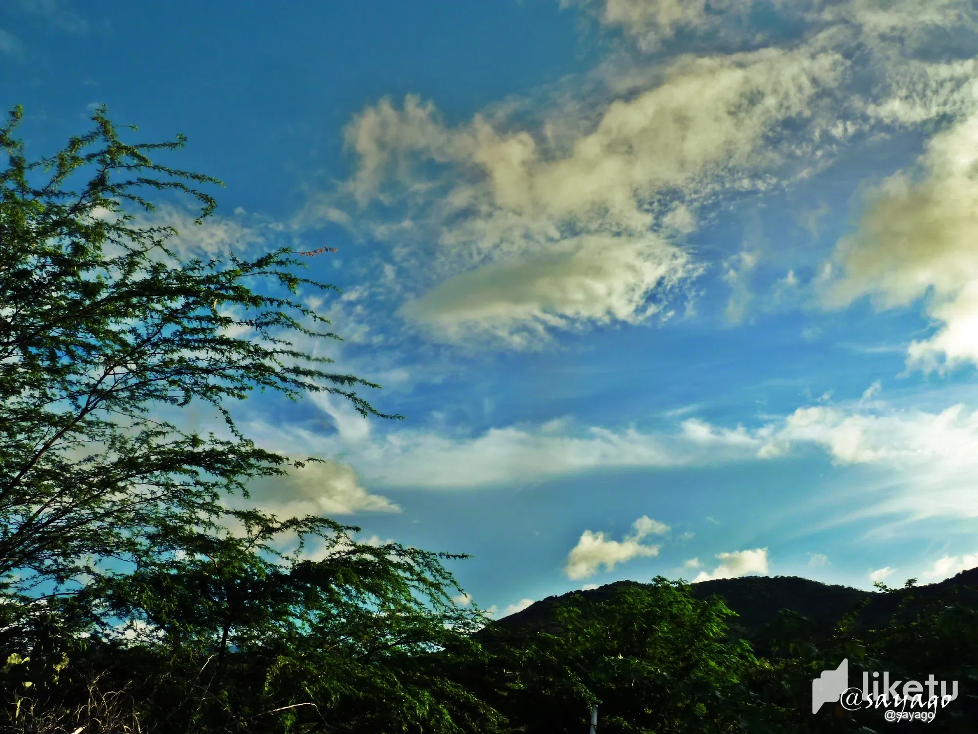 cld3j49ou00bn1csz4jhp9hwe_P1470897_1.webp