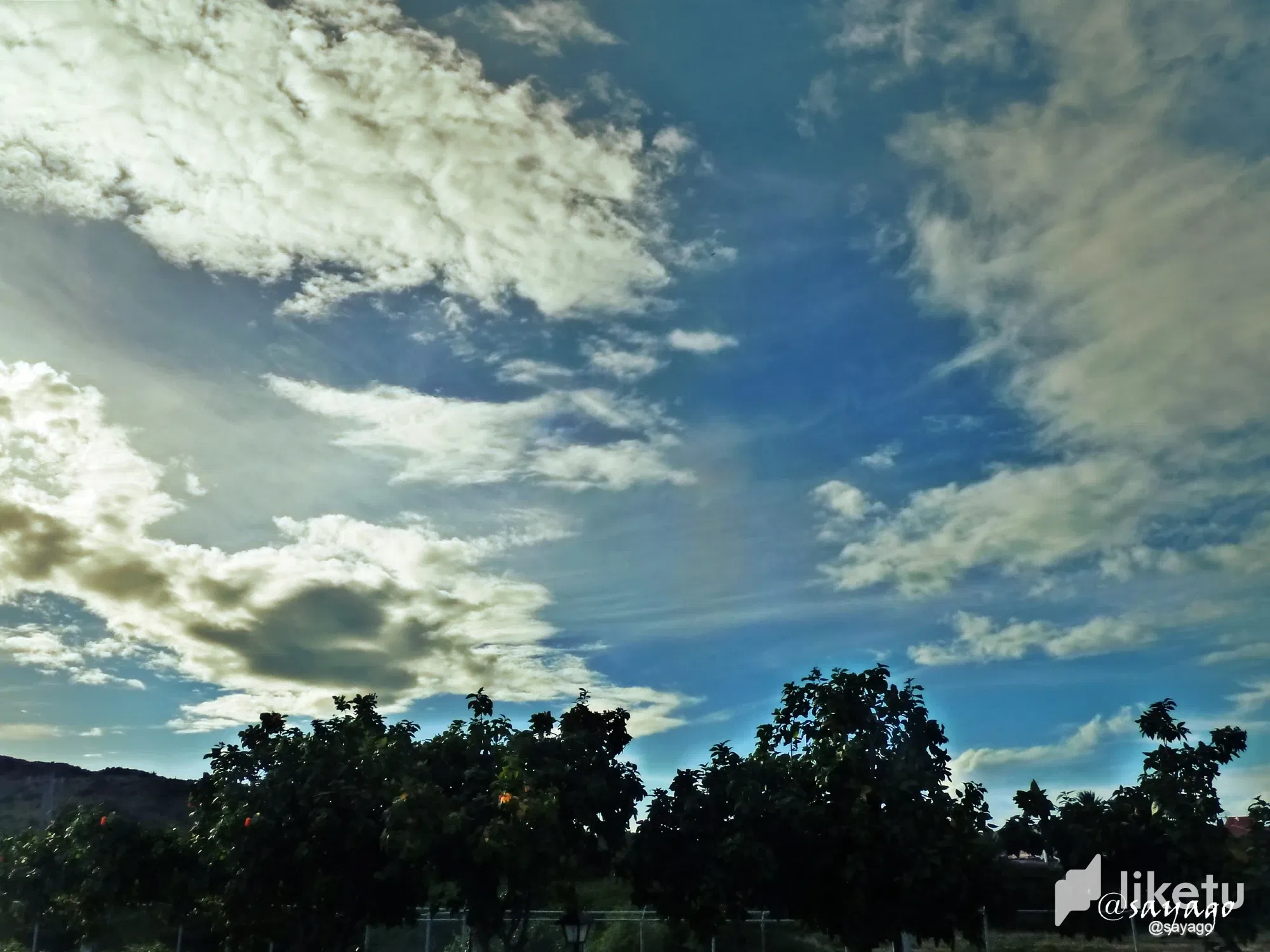 cld3j4js100c09vsz21yh7wvd_P1470895_1.webp