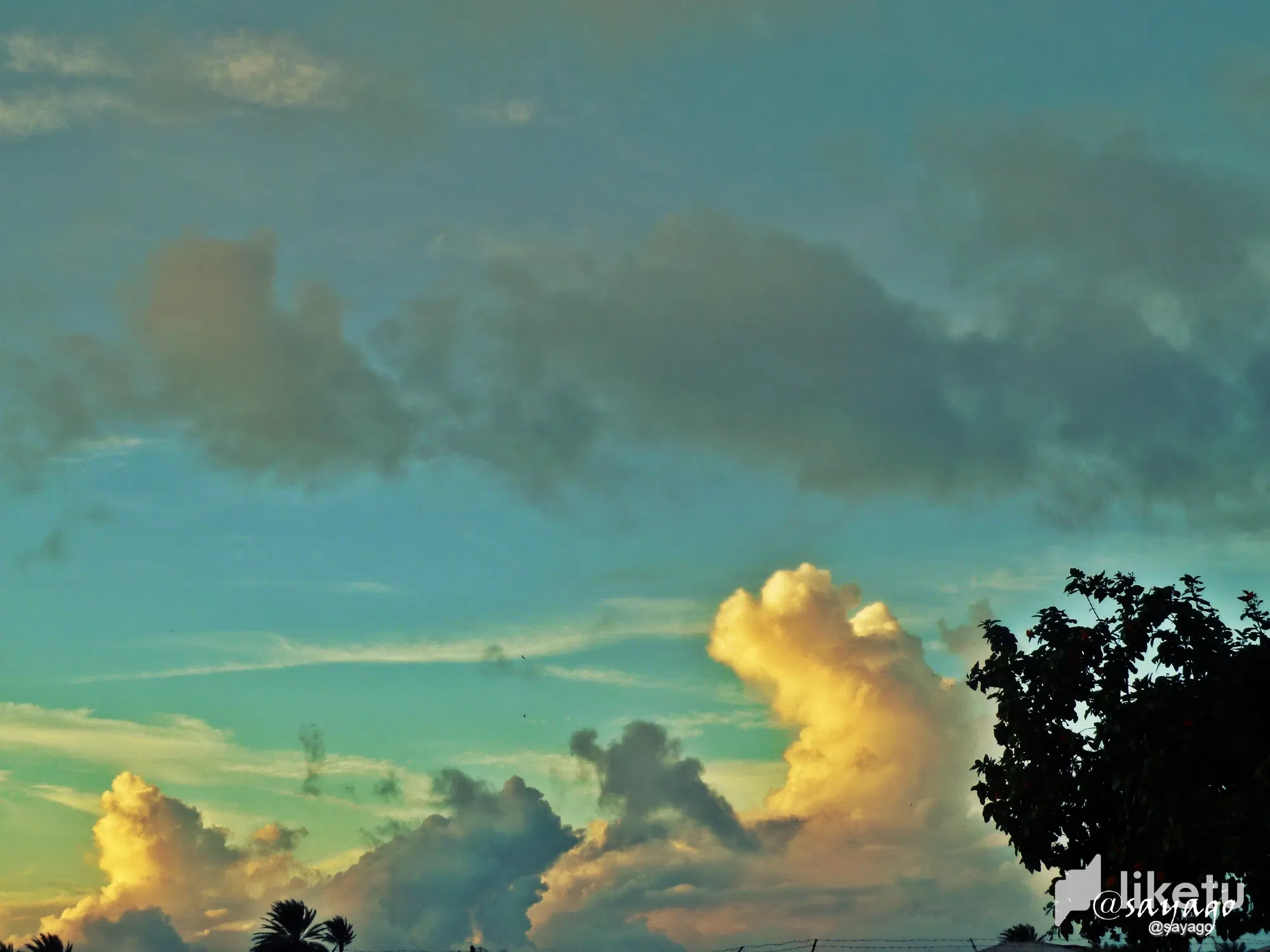 cld3j5xs400cx8dsz6kuebbbh_P1470900_1.webp