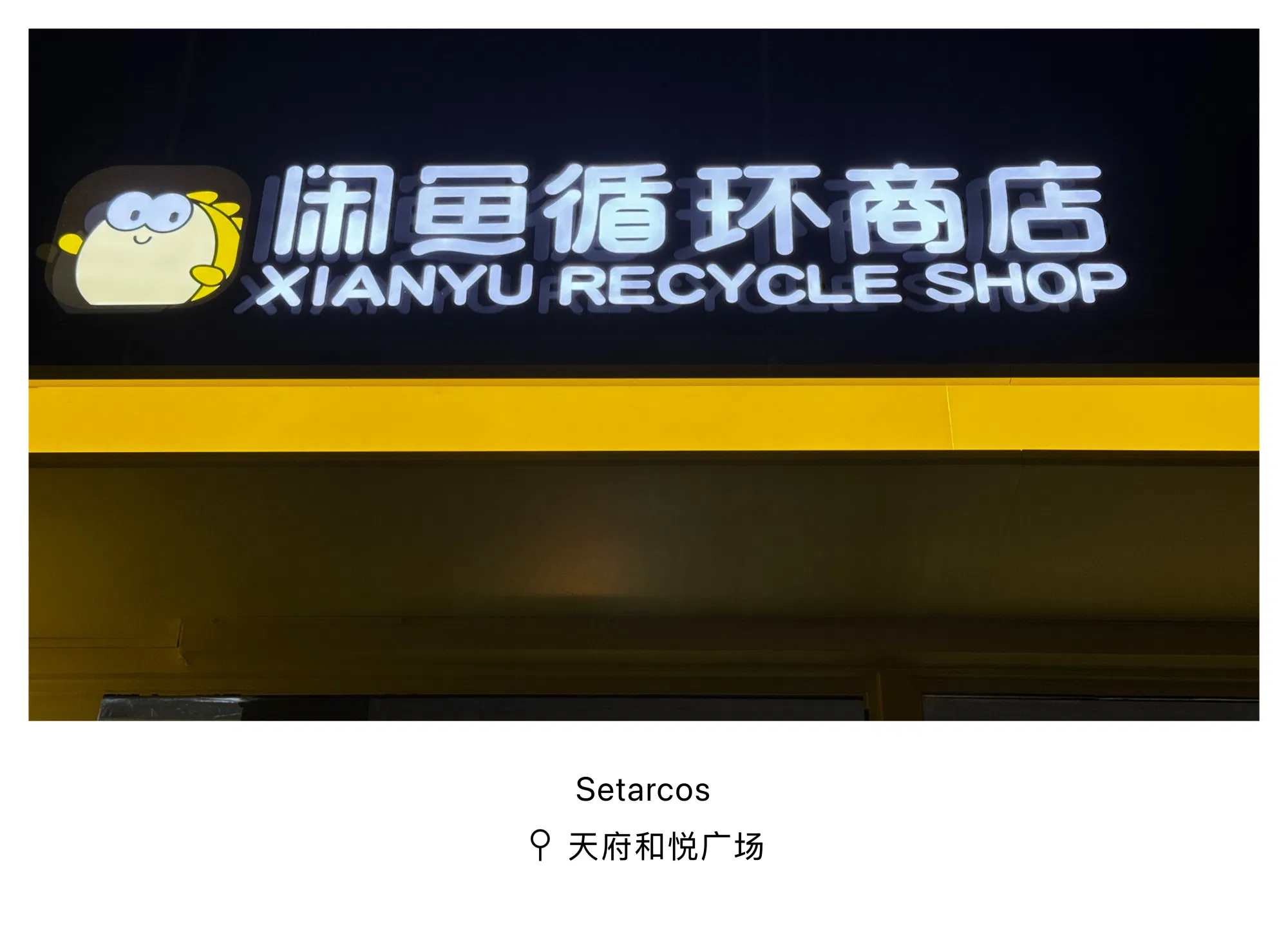 BJQx9eRnwyYwvXyG_IMG_4895.png