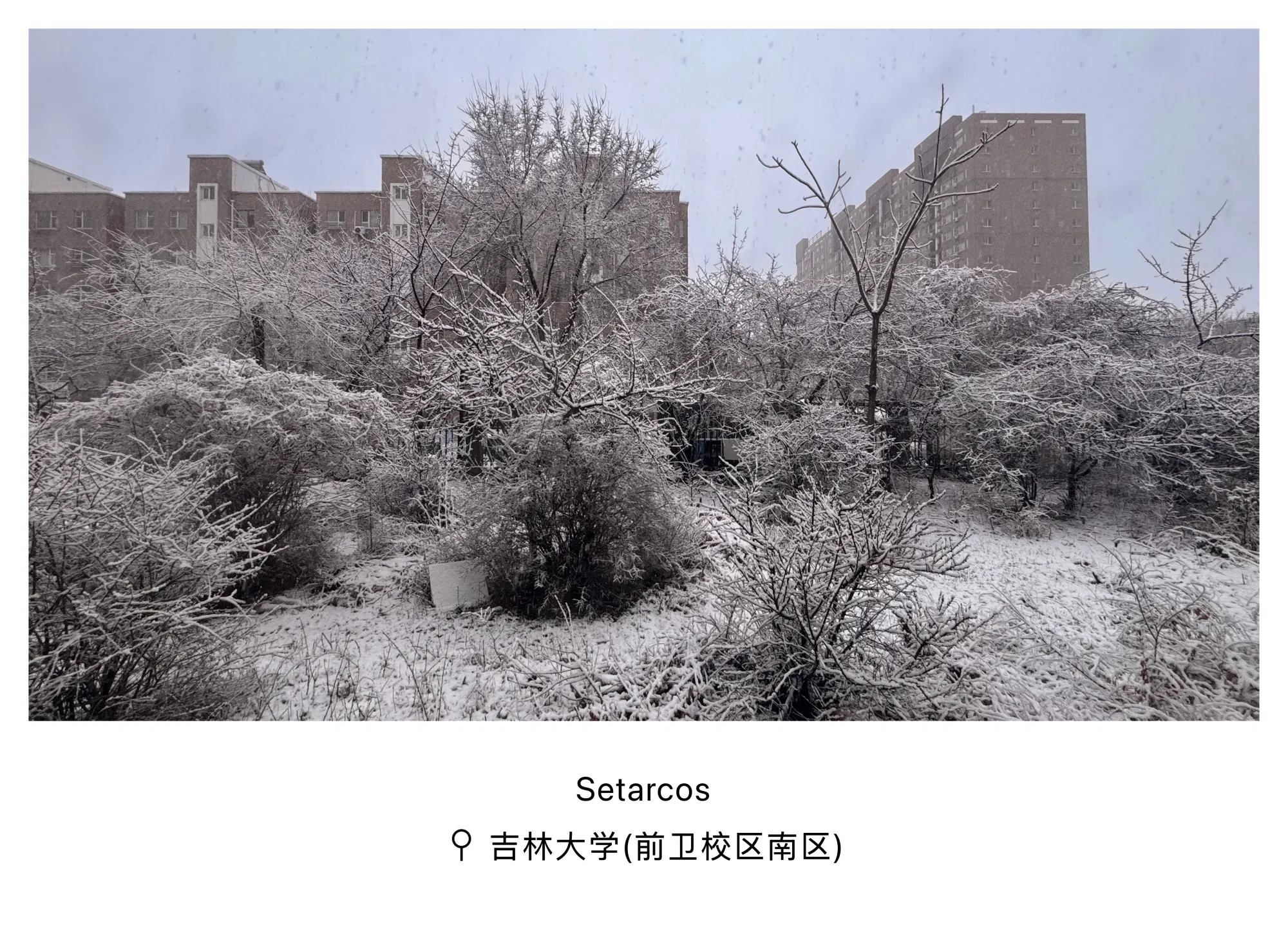 gy6dJVeDfuEvg2oa_IMG_5741.png